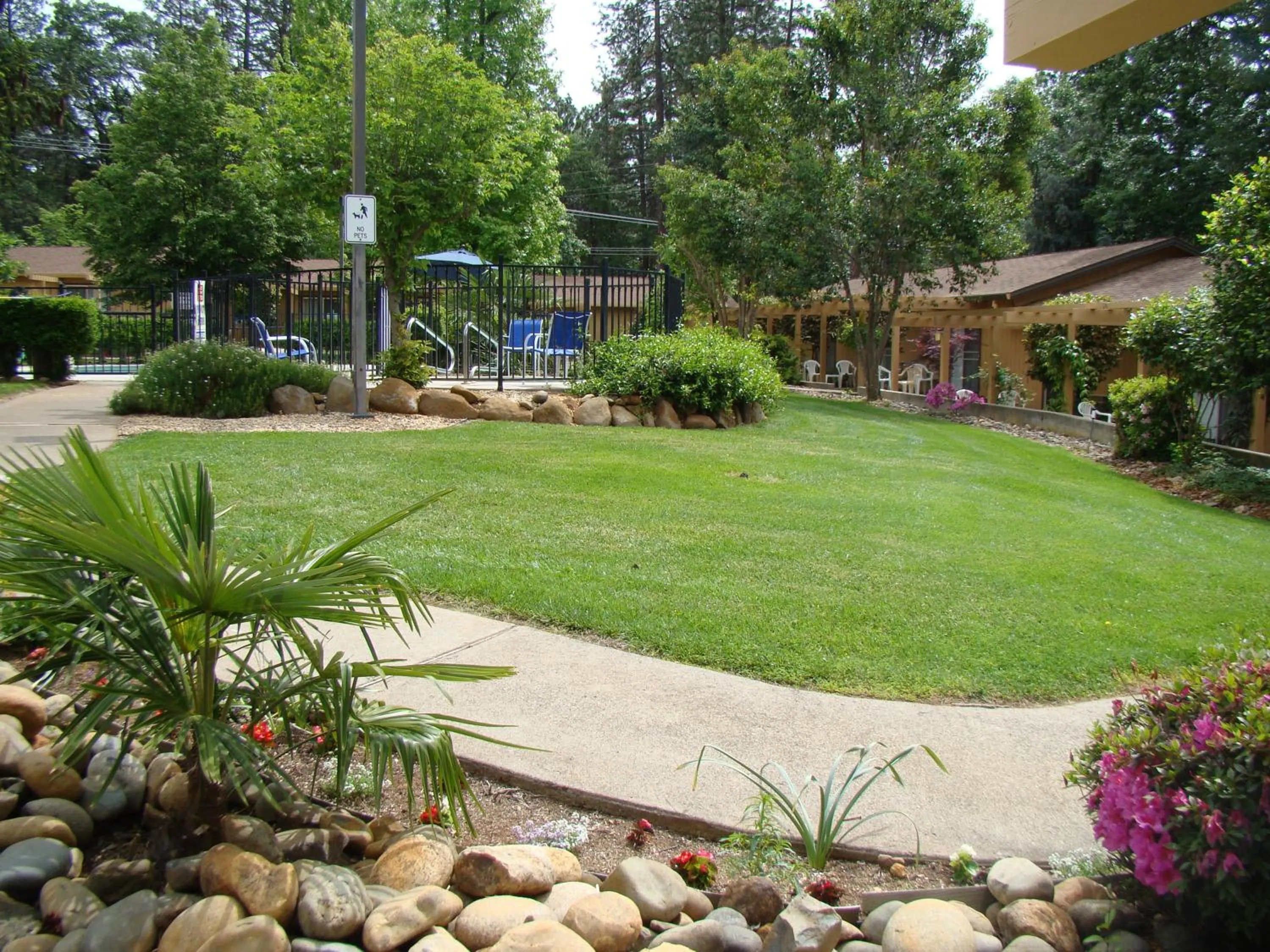 Garden in Ponderosa Gardens Motel