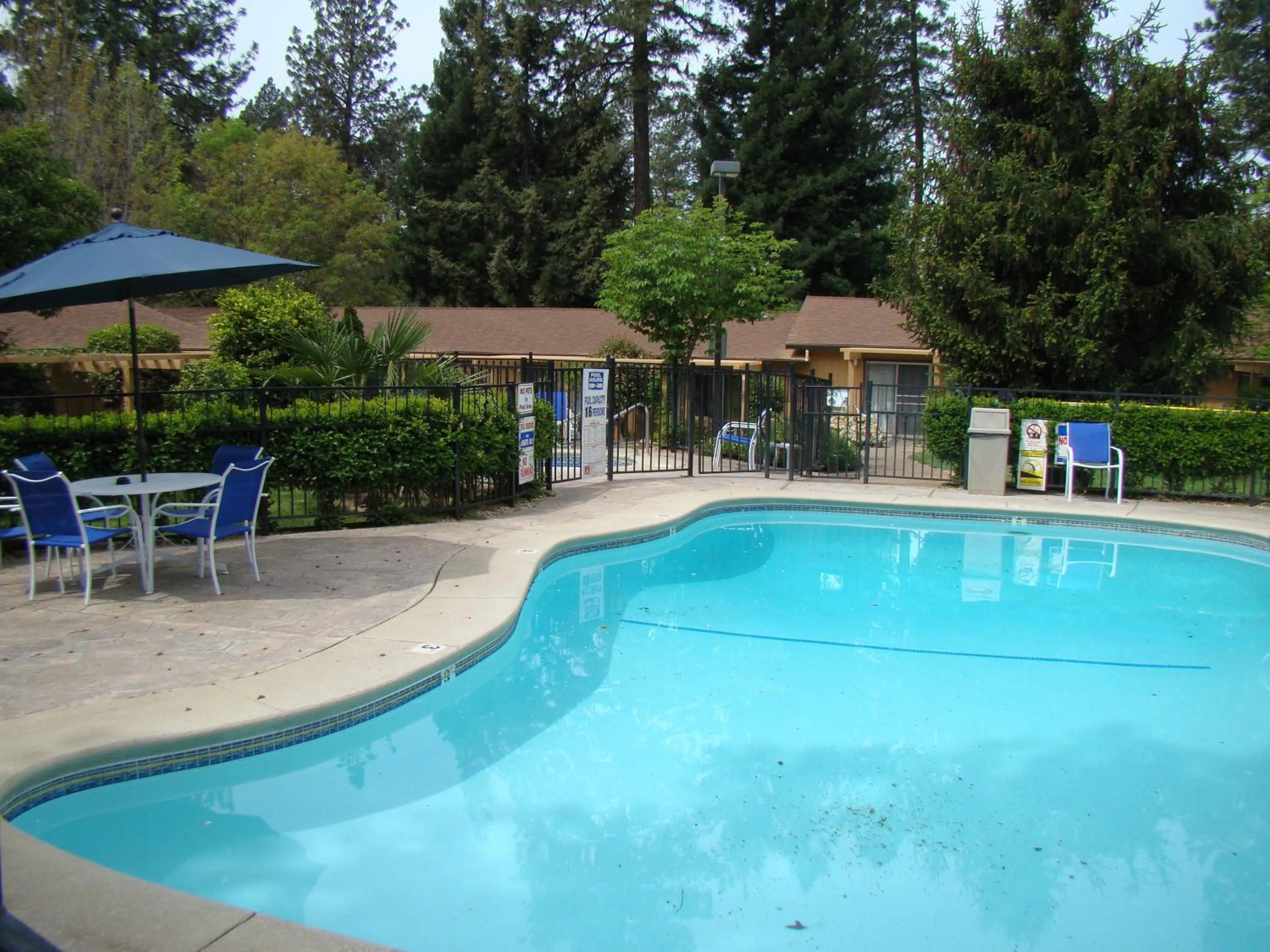 Swimming pool in Ponderosa Gardens Motel