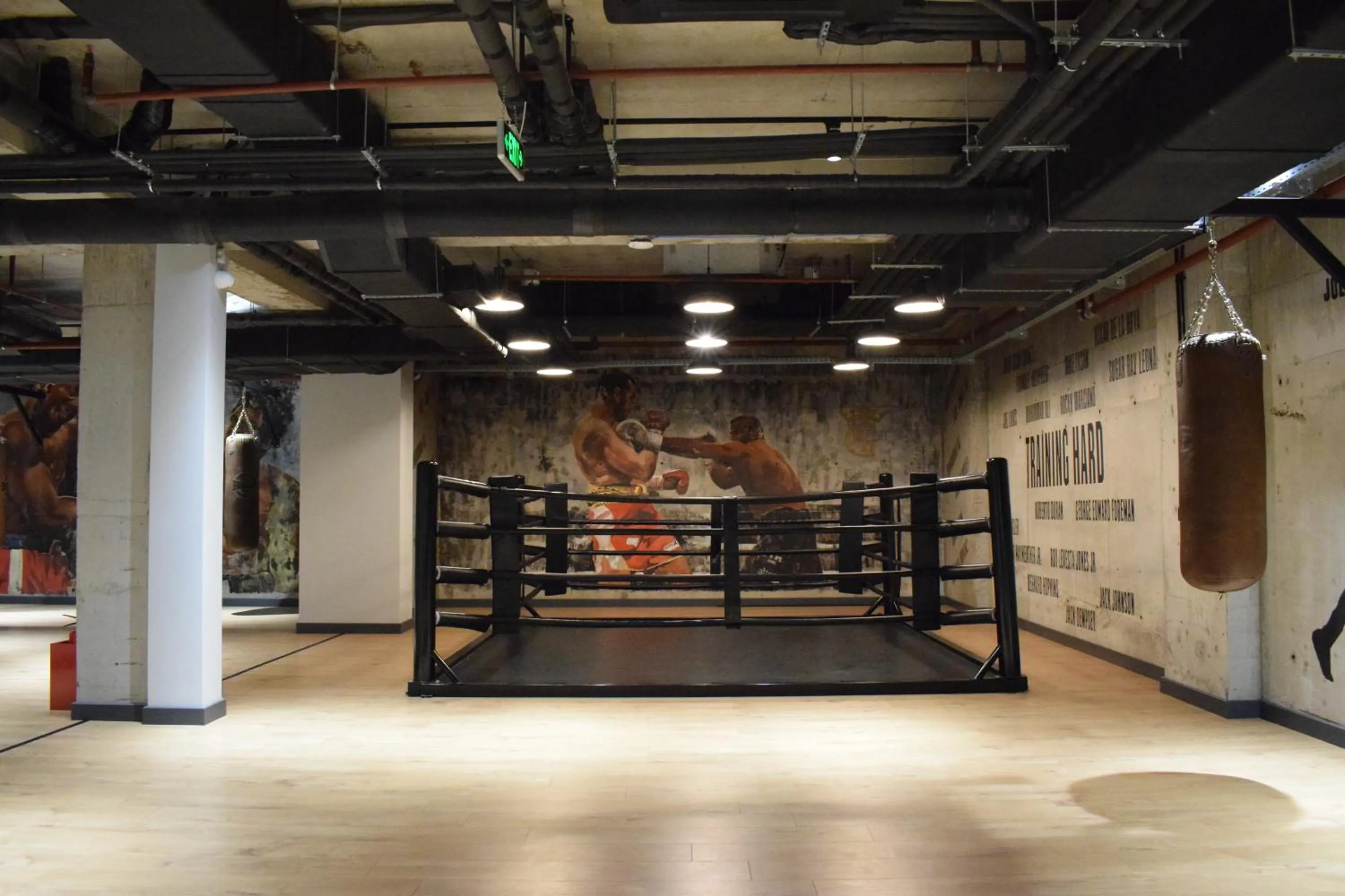 Fitness centre/facilities in Khedi Hotel Tbilisi