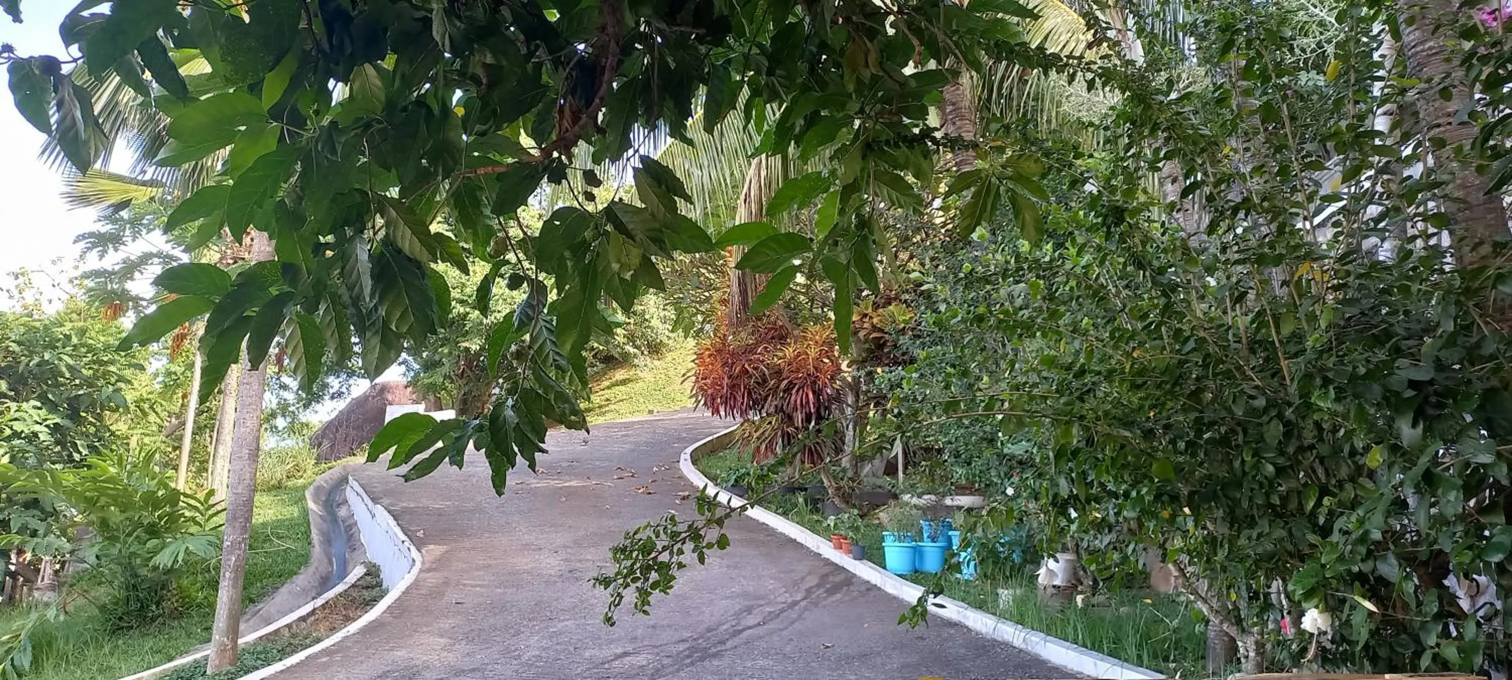 Garden in Petit Amour Villa, Seychelles