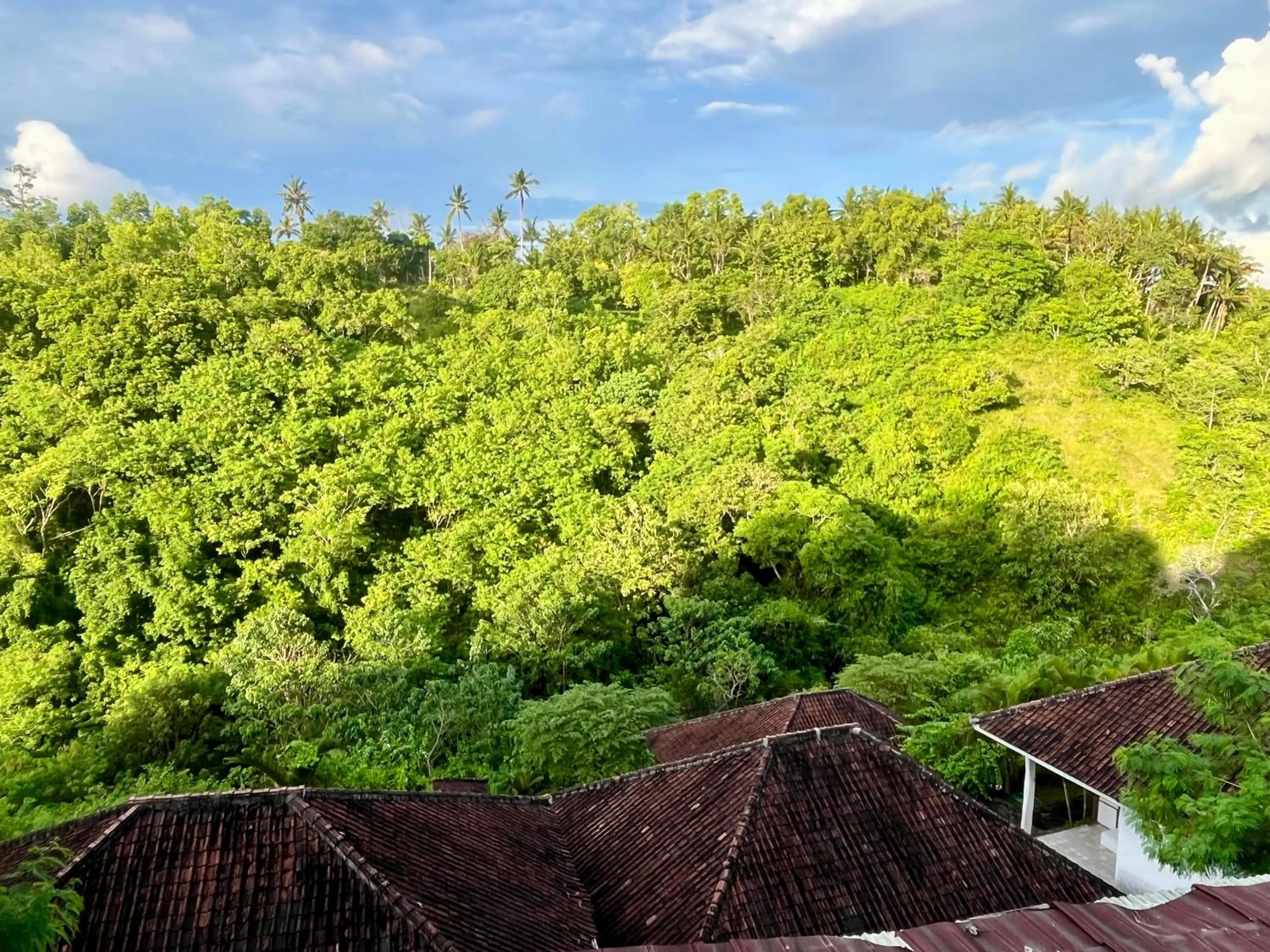 Natural landscape in Namaste Bungalows Resort