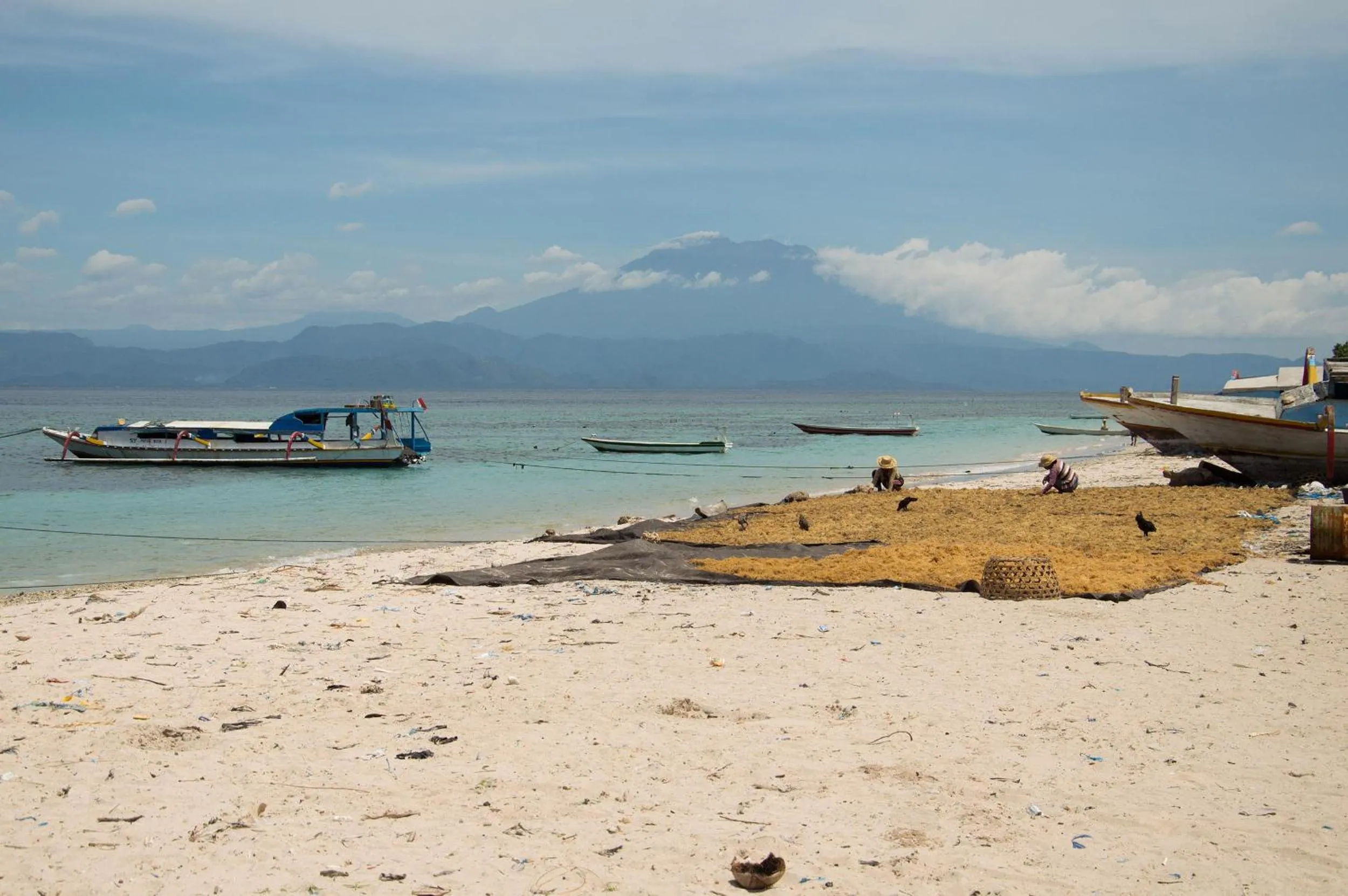 View (from property/room) in Namaste Bungalows Resort