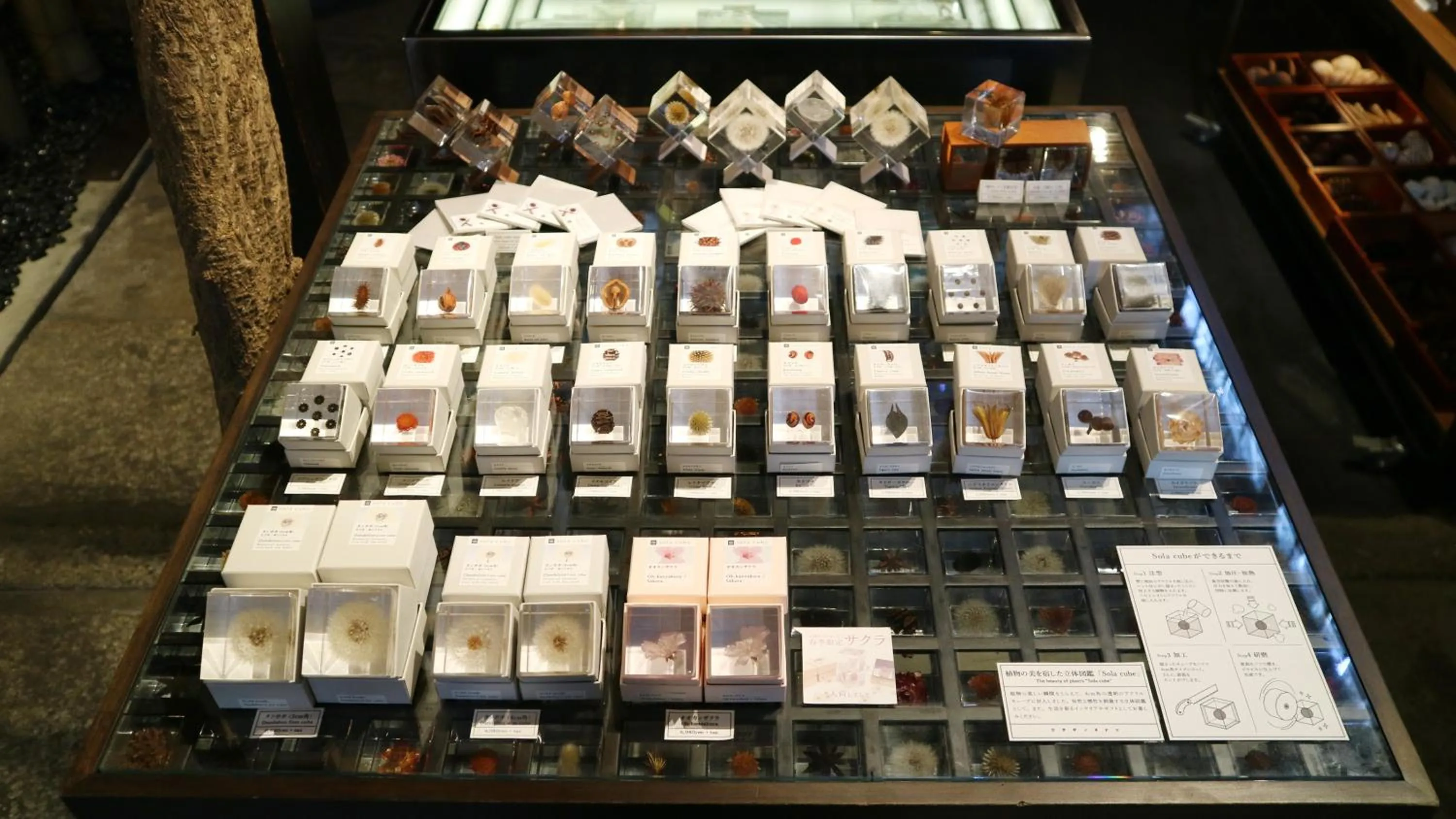 On-site shops in Usaginonedoko