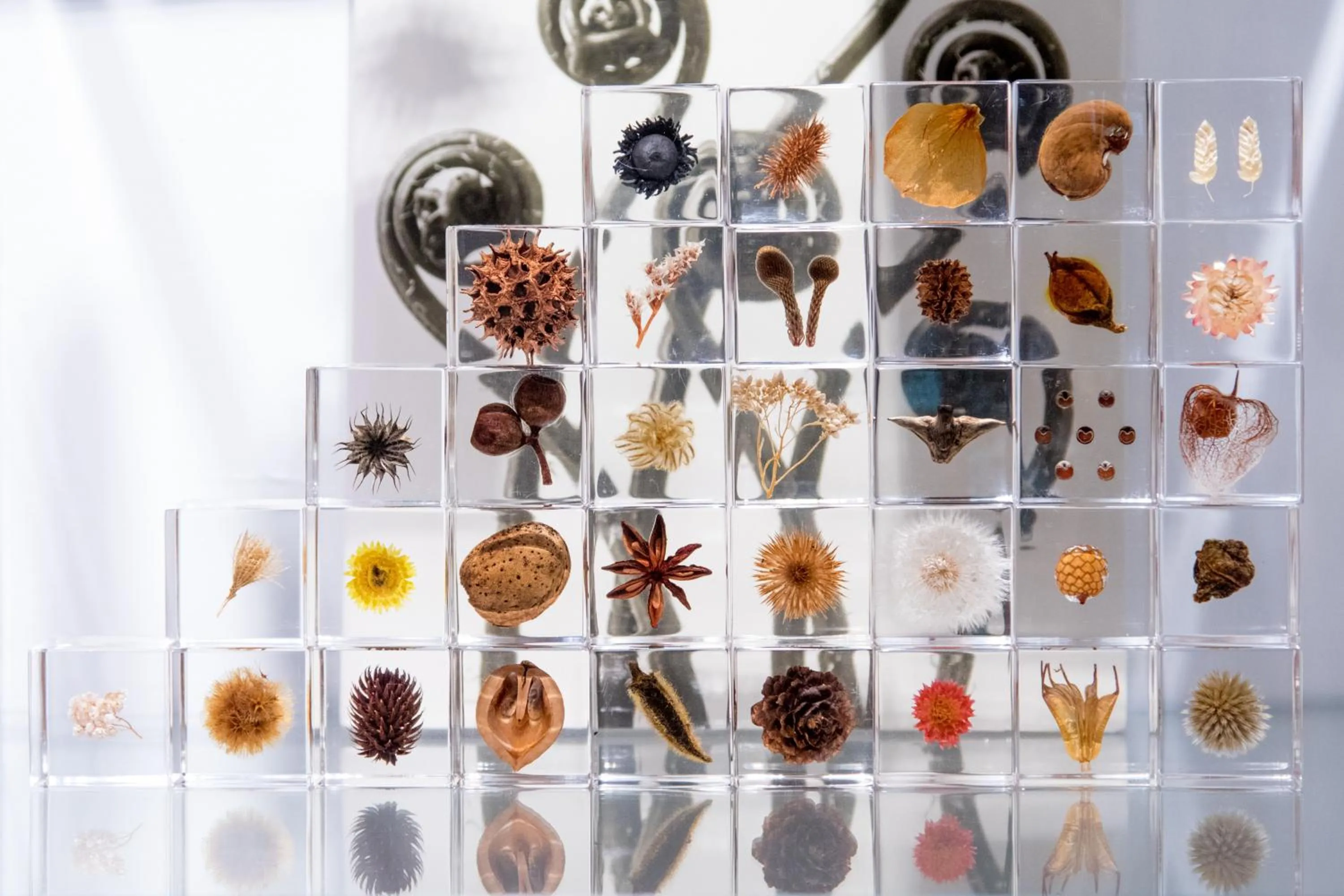 Restaurant/places to eat in Usaginonedoko