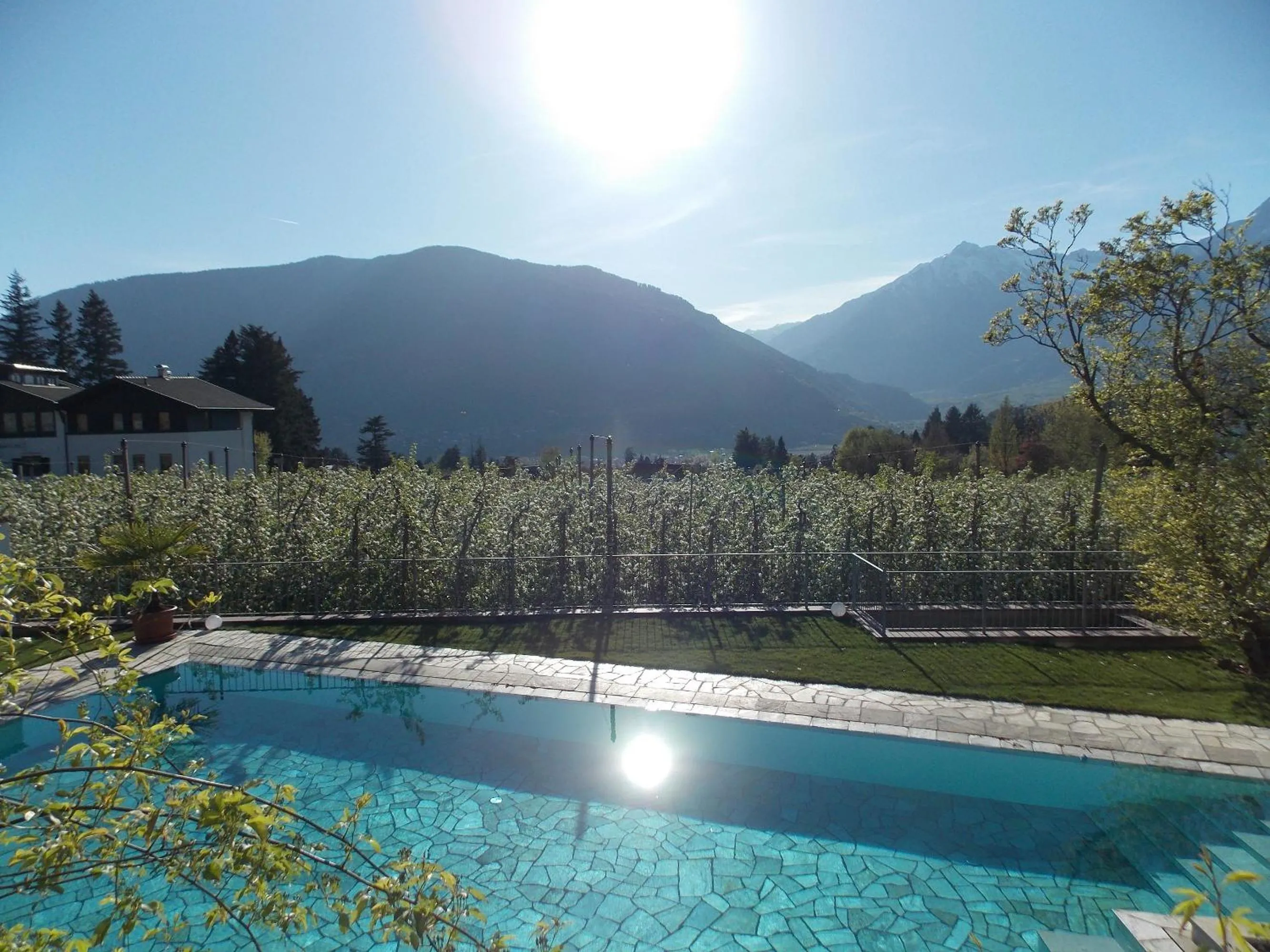 Garden view in Hotel Pension Verdorfer