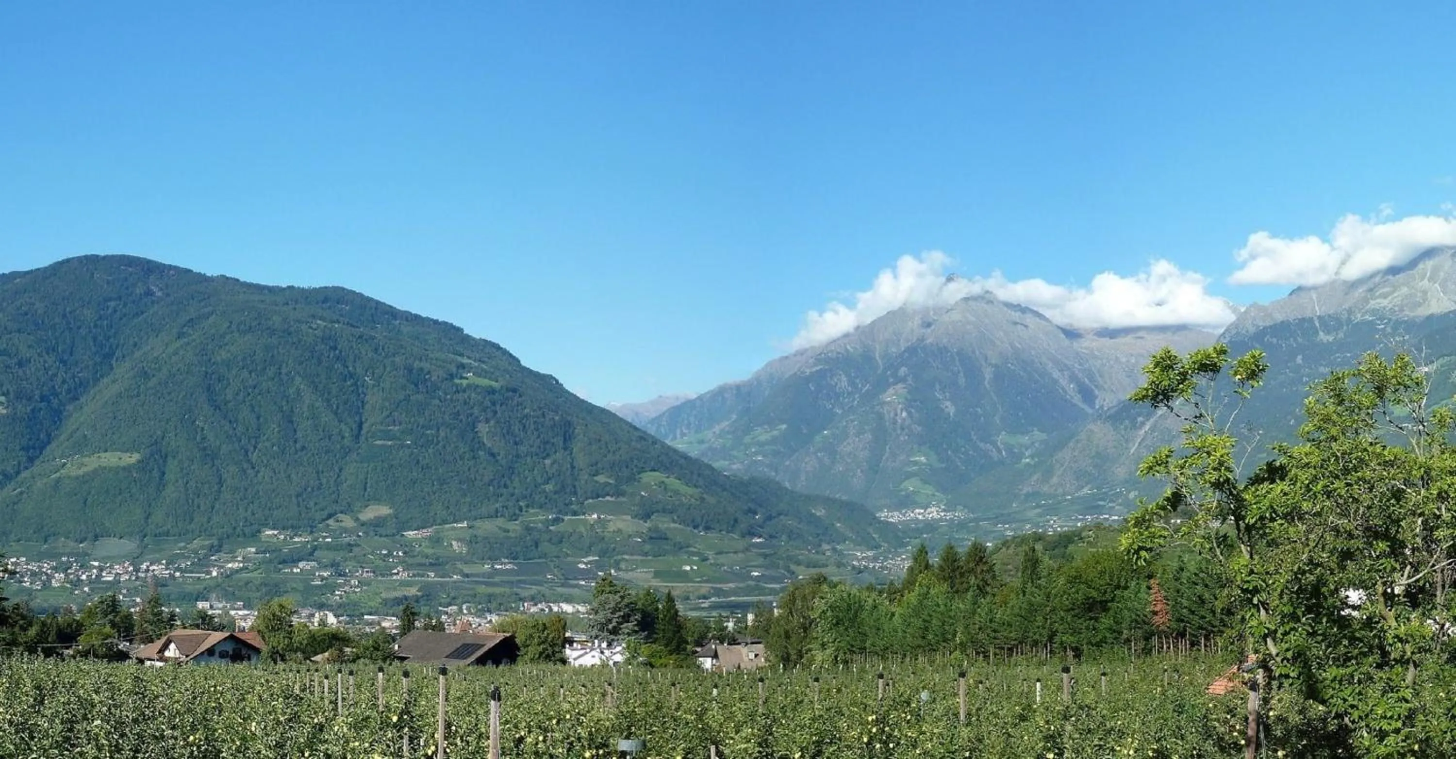 View (from property/room) in Hotel Pension Verdorfer