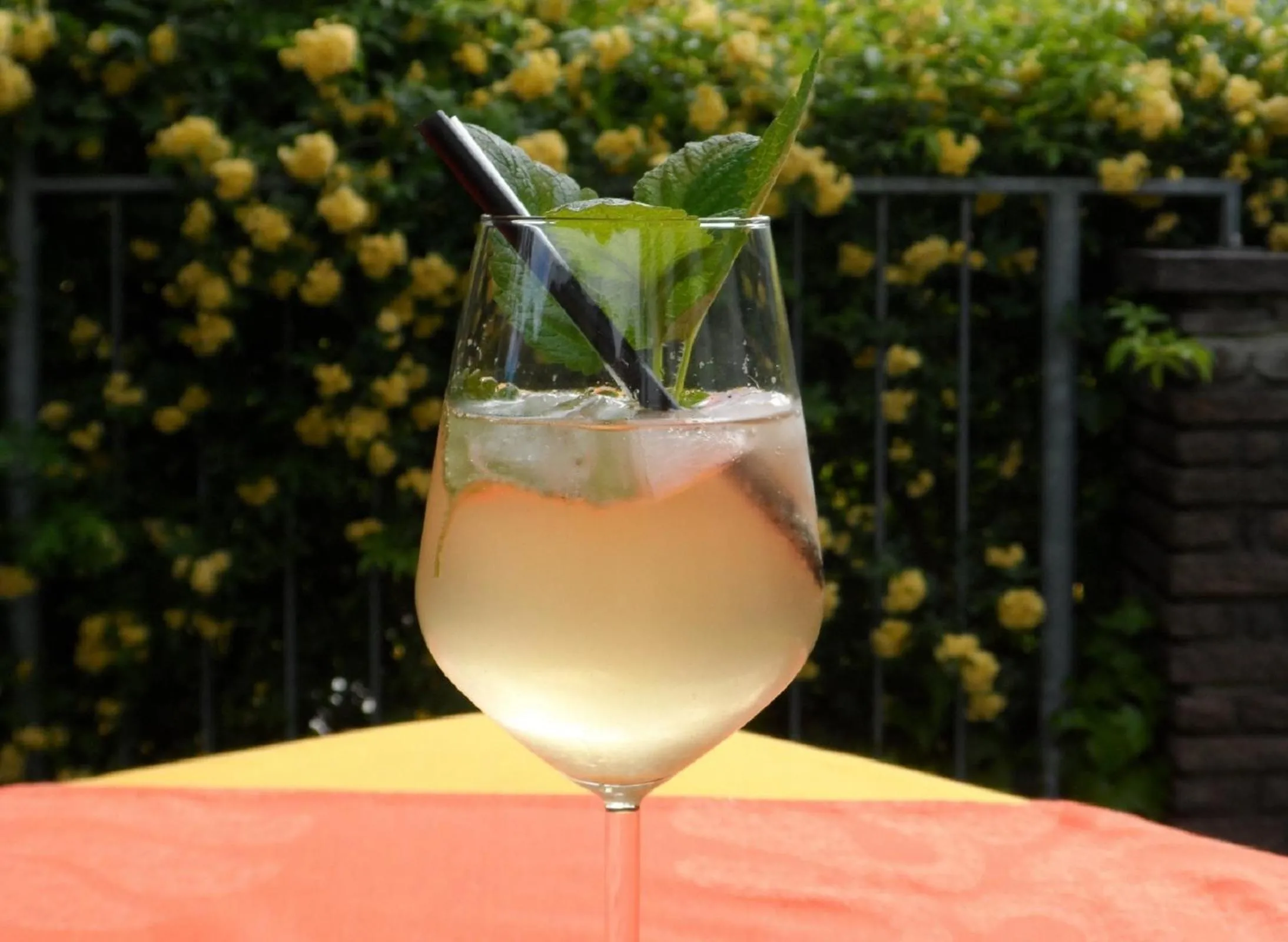 Alcoholic drinks in Hotel Pension Verdorfer