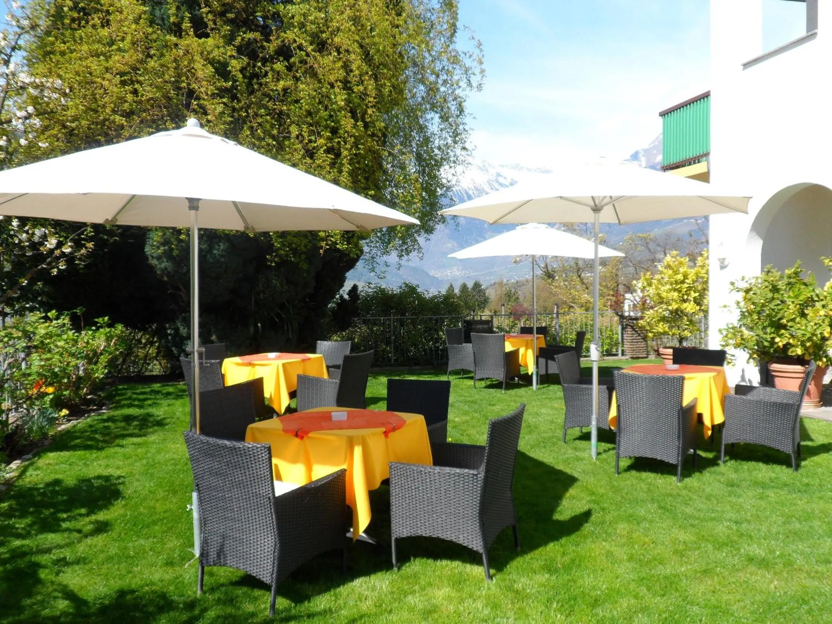 Garden in Hotel Pension Verdorfer