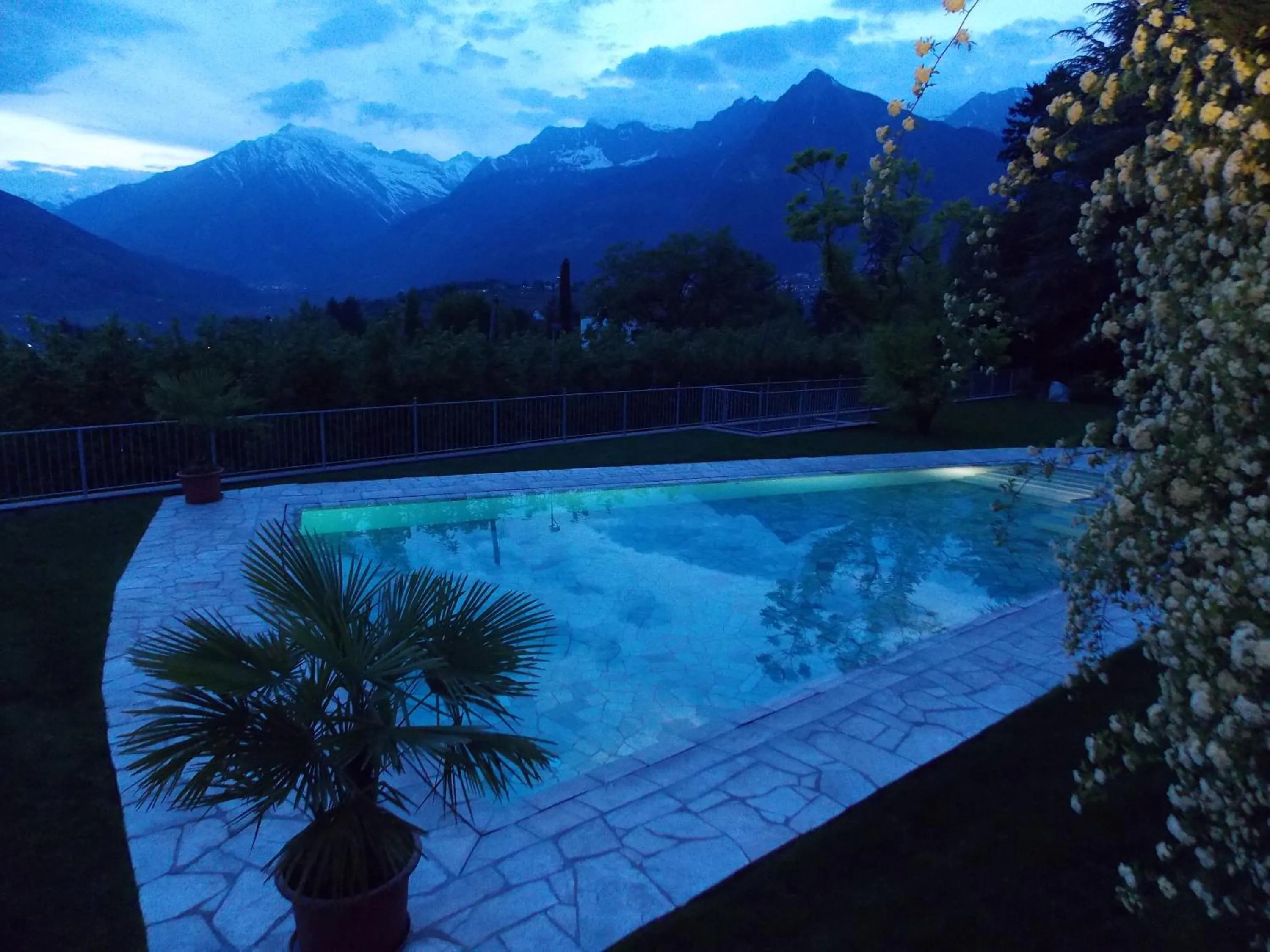 Garden in Hotel Pension Verdorfer