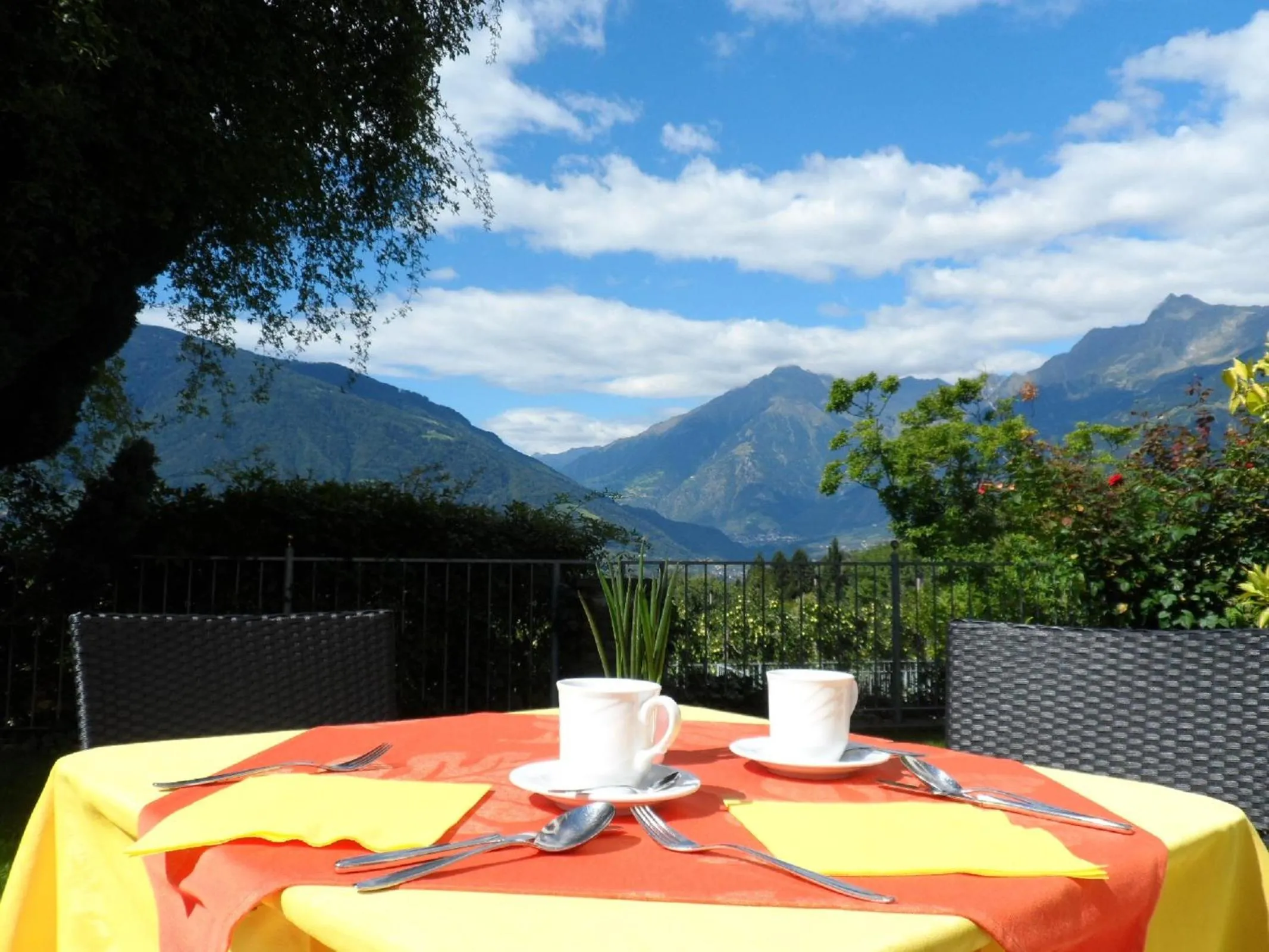 Garden in Hotel Pension Verdorfer