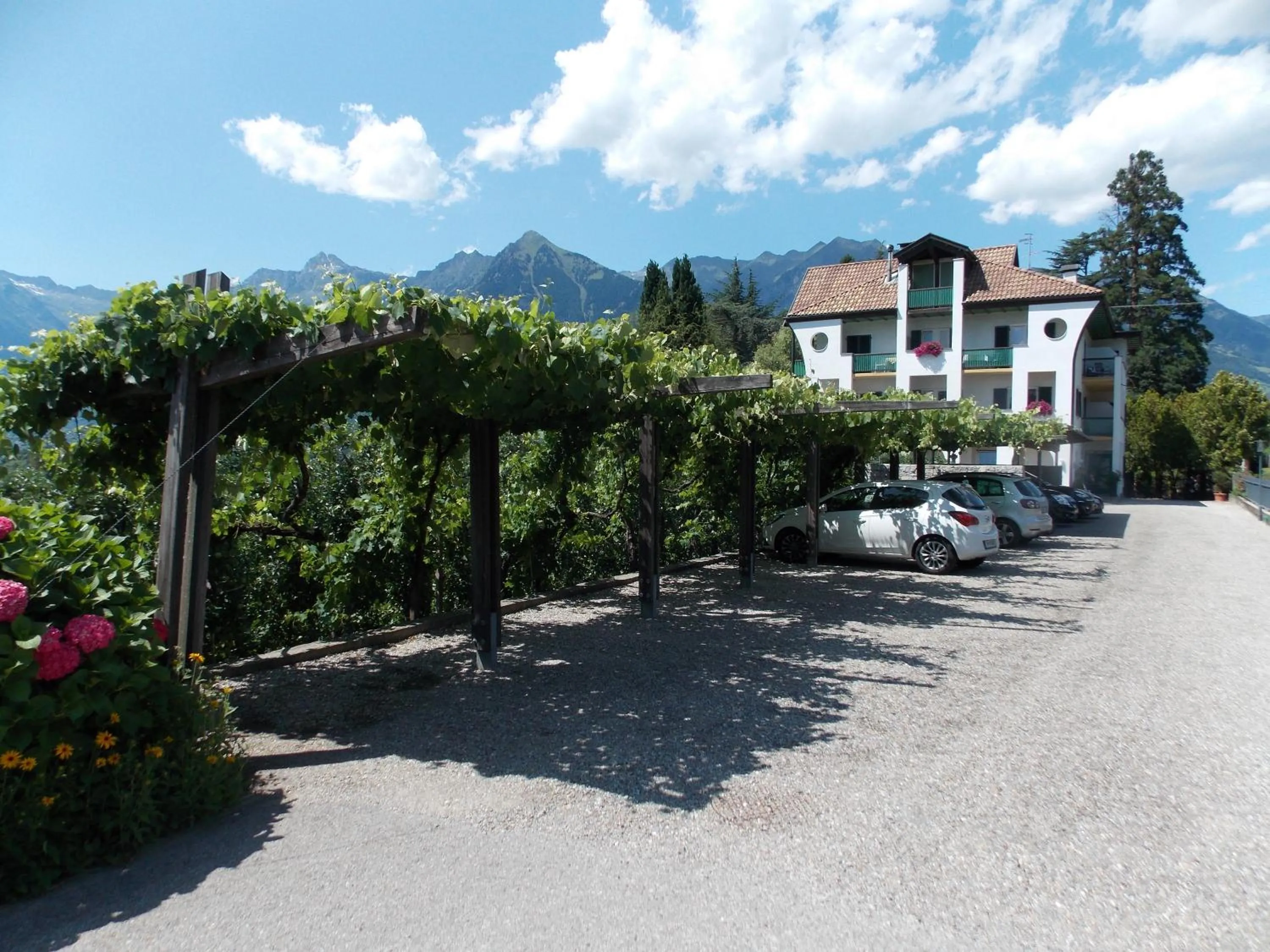 Facade/entrance in Hotel Pension Verdorfer