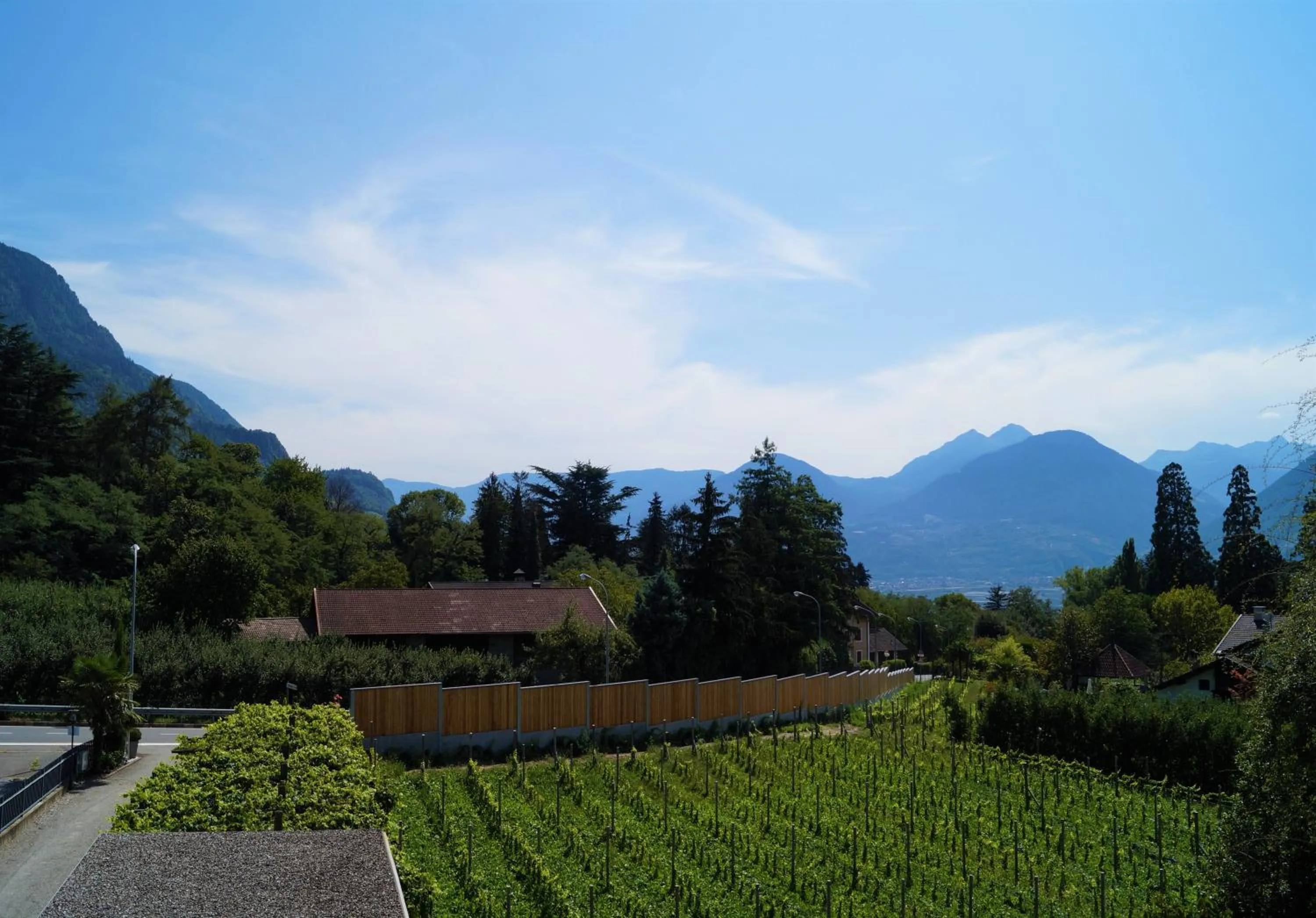 View (from property/room) in Hotel Pension Verdorfer
