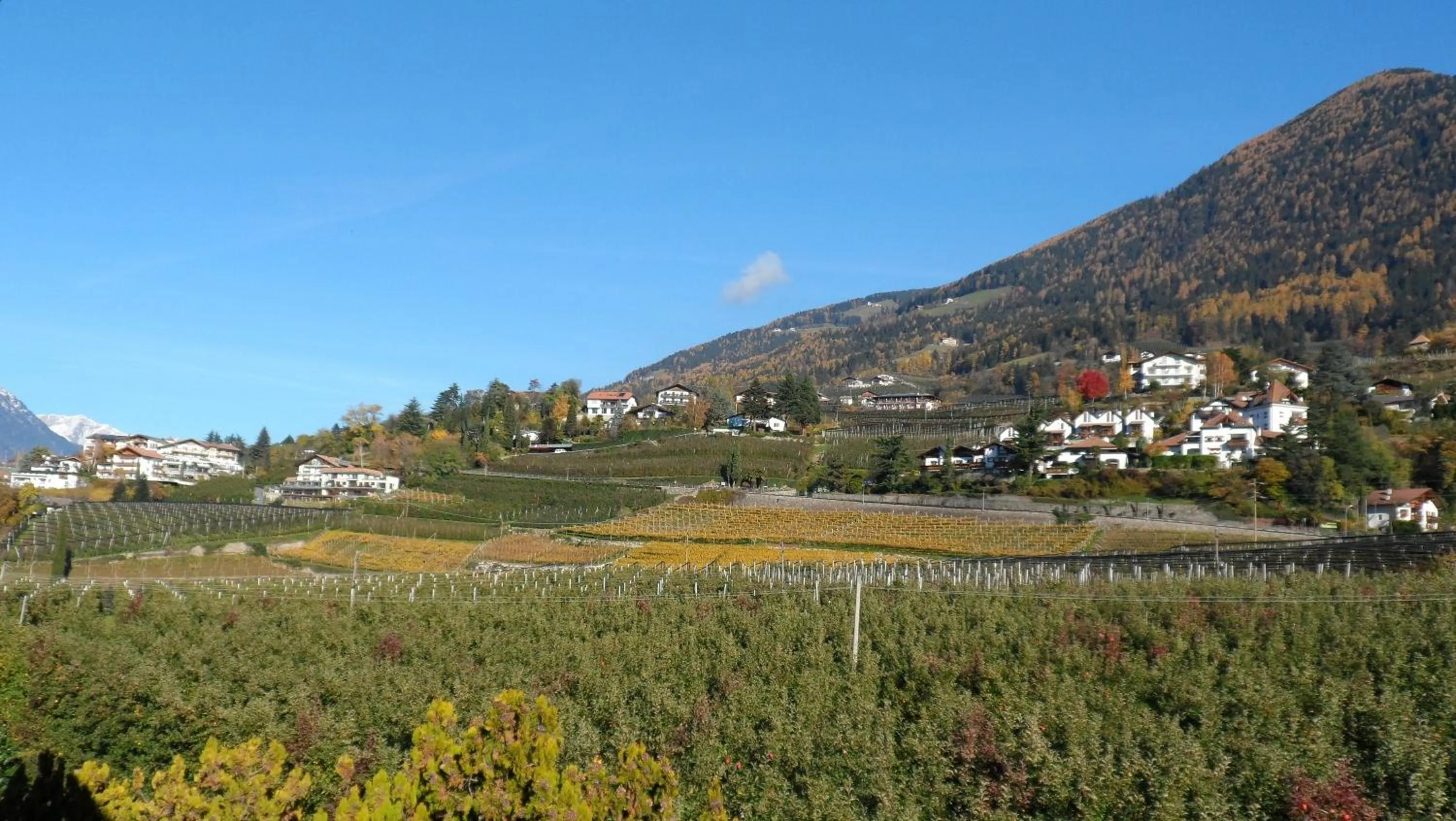 View (from property/room) in Hotel Pension Verdorfer