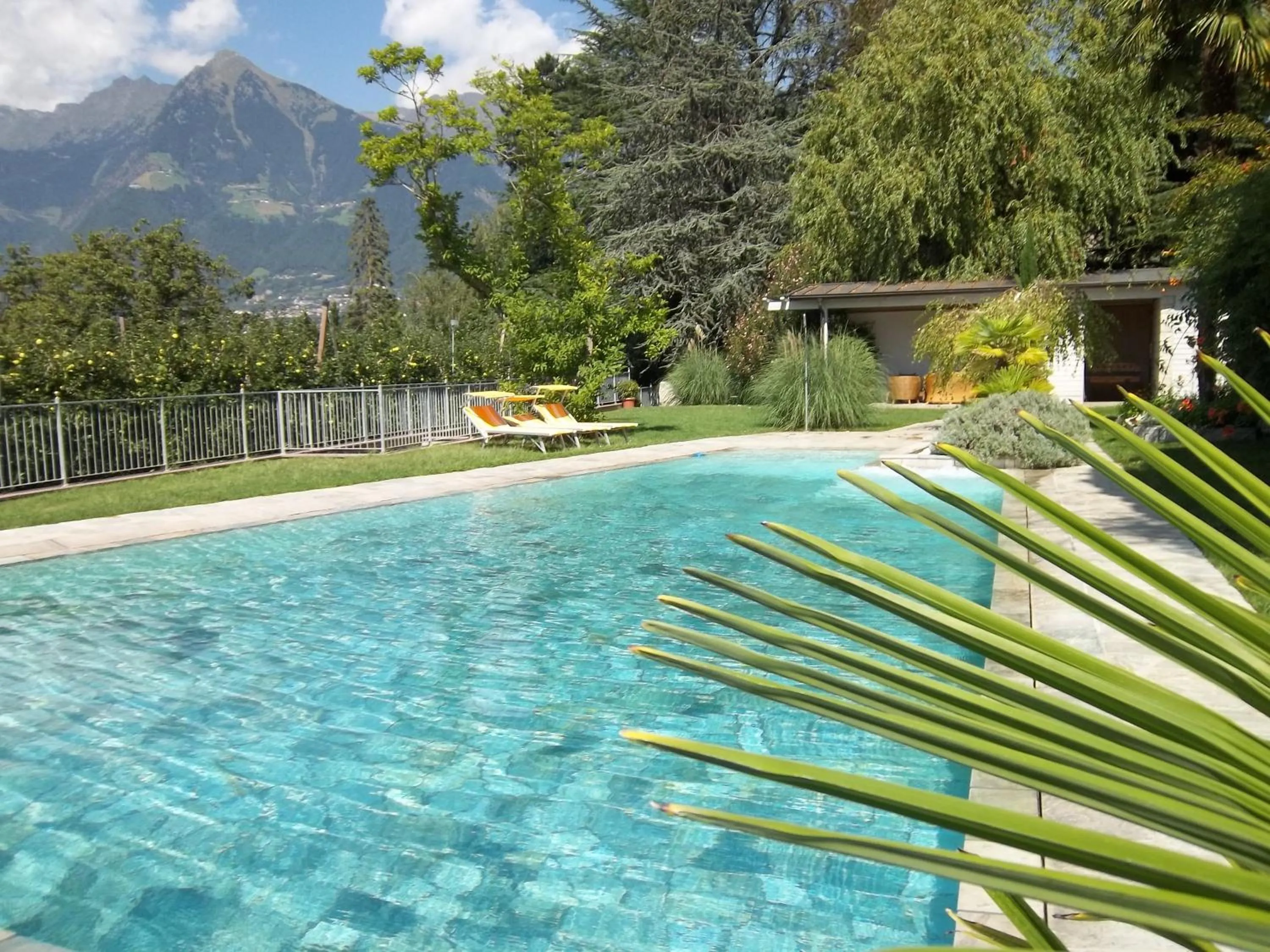 Garden in Hotel Pension Verdorfer