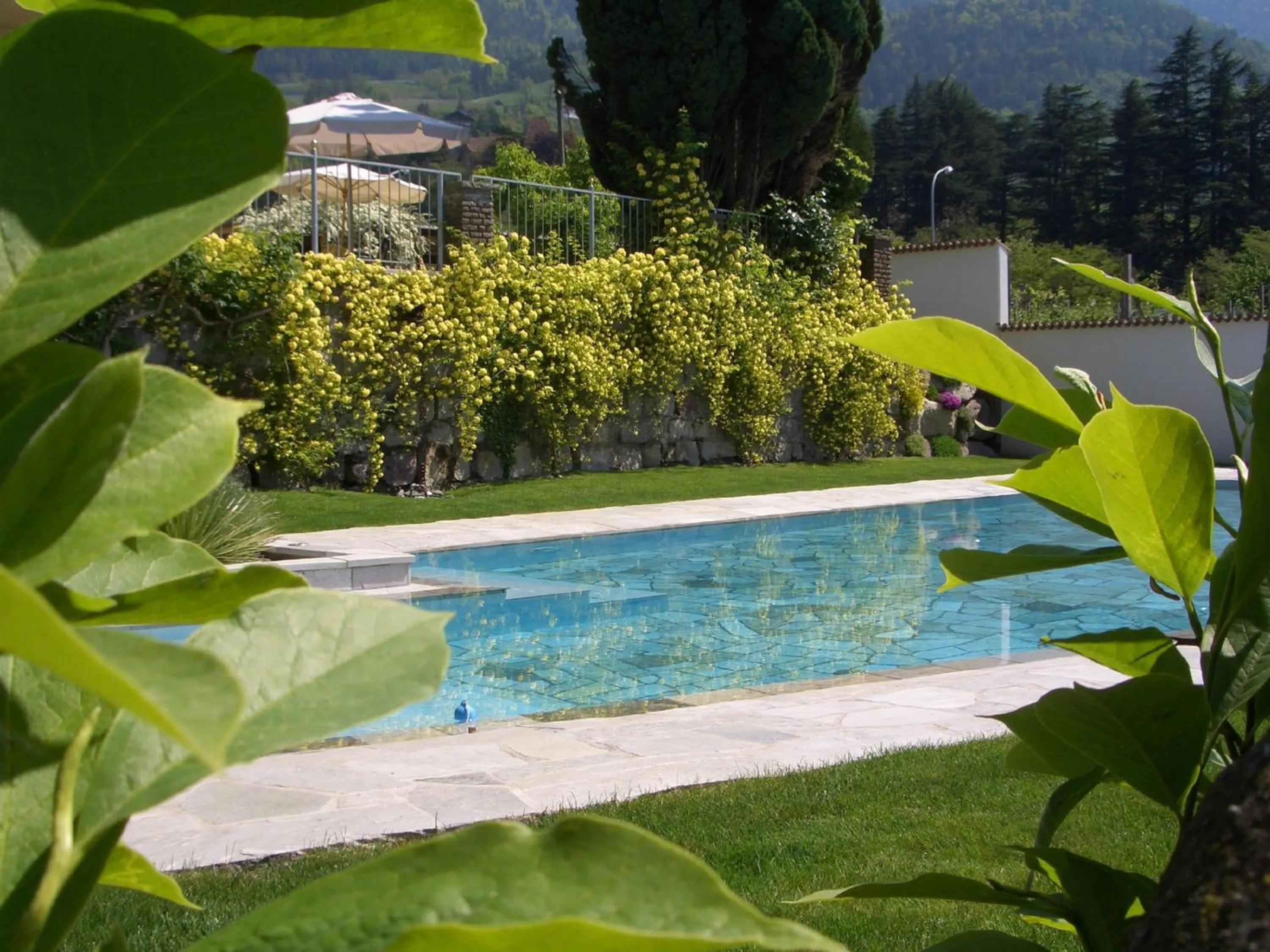 Garden in Hotel Pension Verdorfer