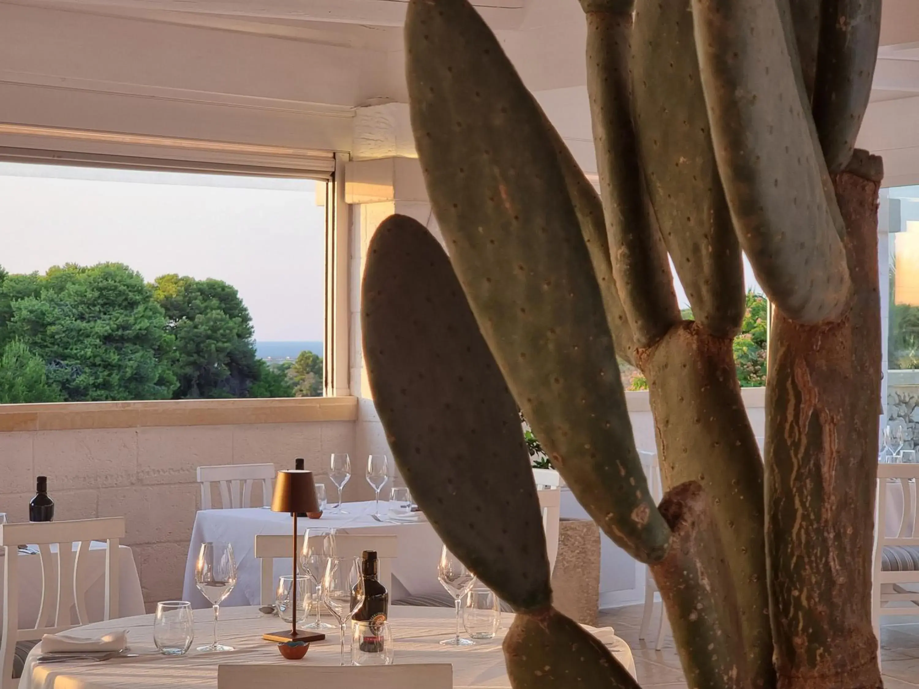 Restaurant/places to eat in Masseria Bandino & Spa Restaurant/places to eat in Masseria Bandino & Spa