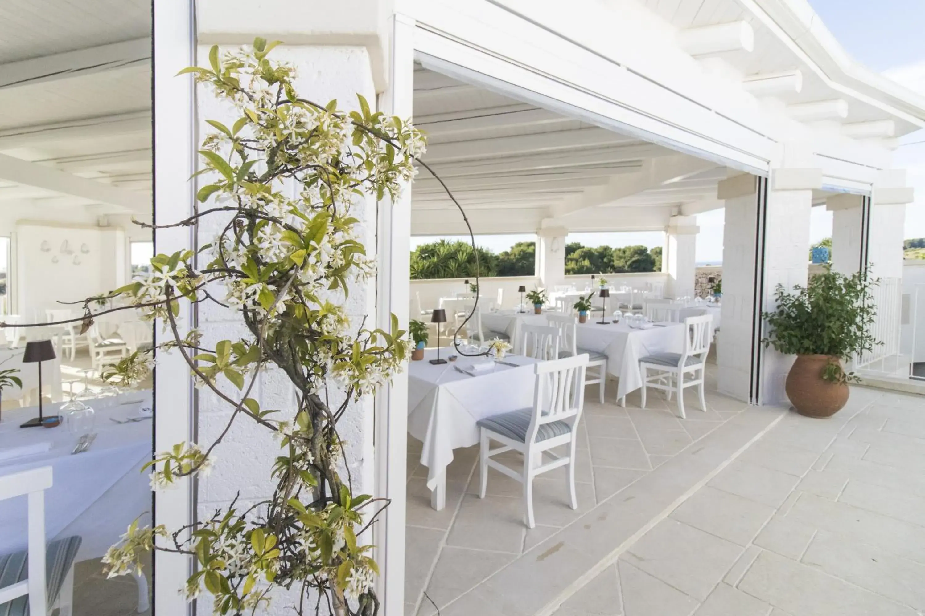Restaurant/places to eat in Masseria Bandino & Spa Restaurant/places to eat in Masseria Bandino & Spa