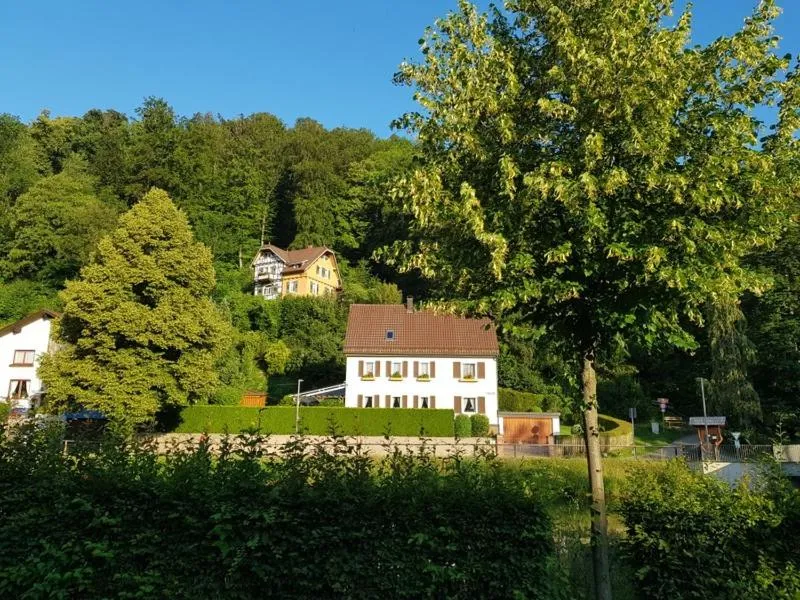 Hotel Schiff Nagold