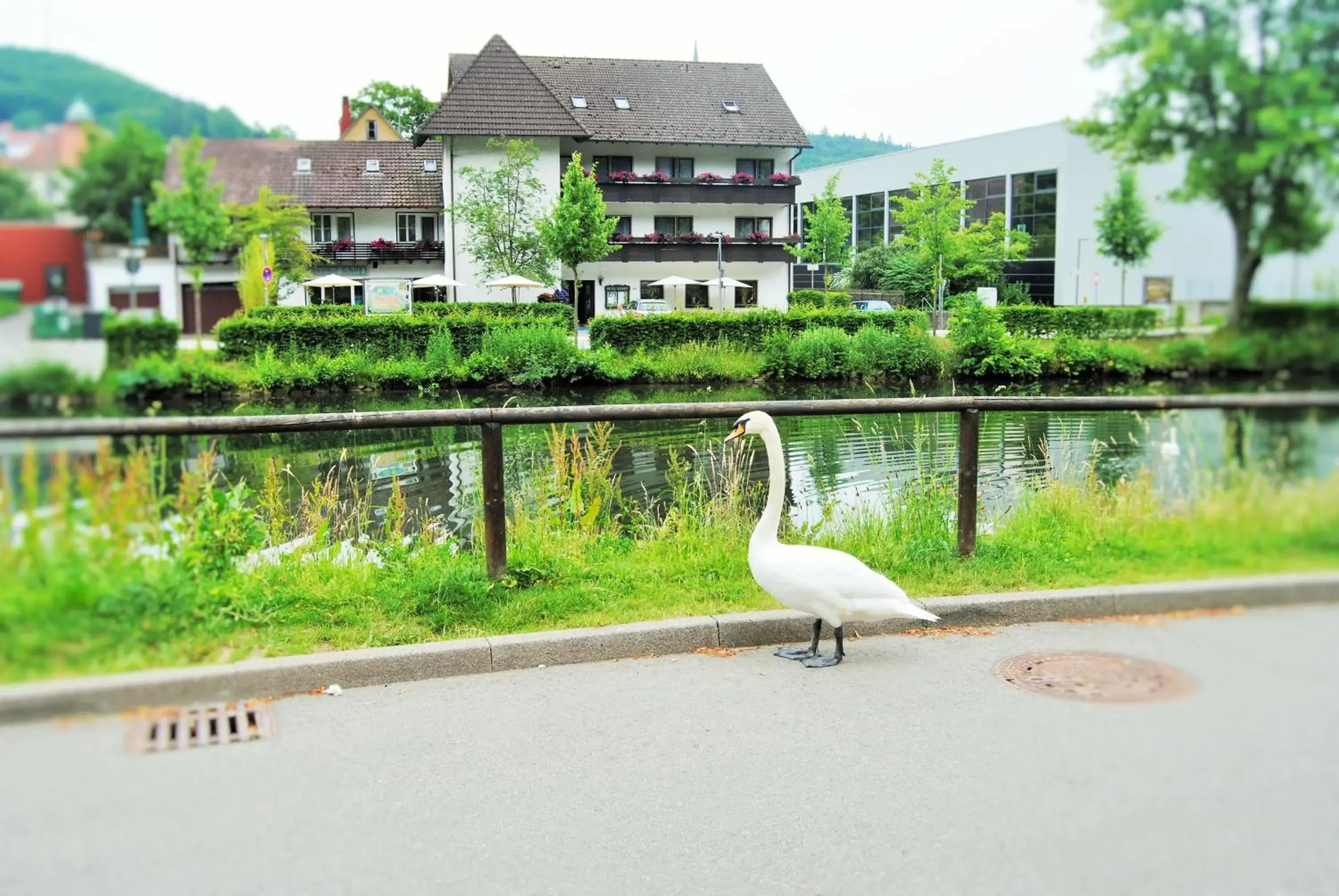 Hotel Schiff Nagold Hotel Schiff Nagold