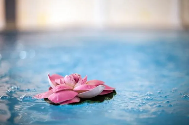 Decorative detail in Hotel Villa Medici