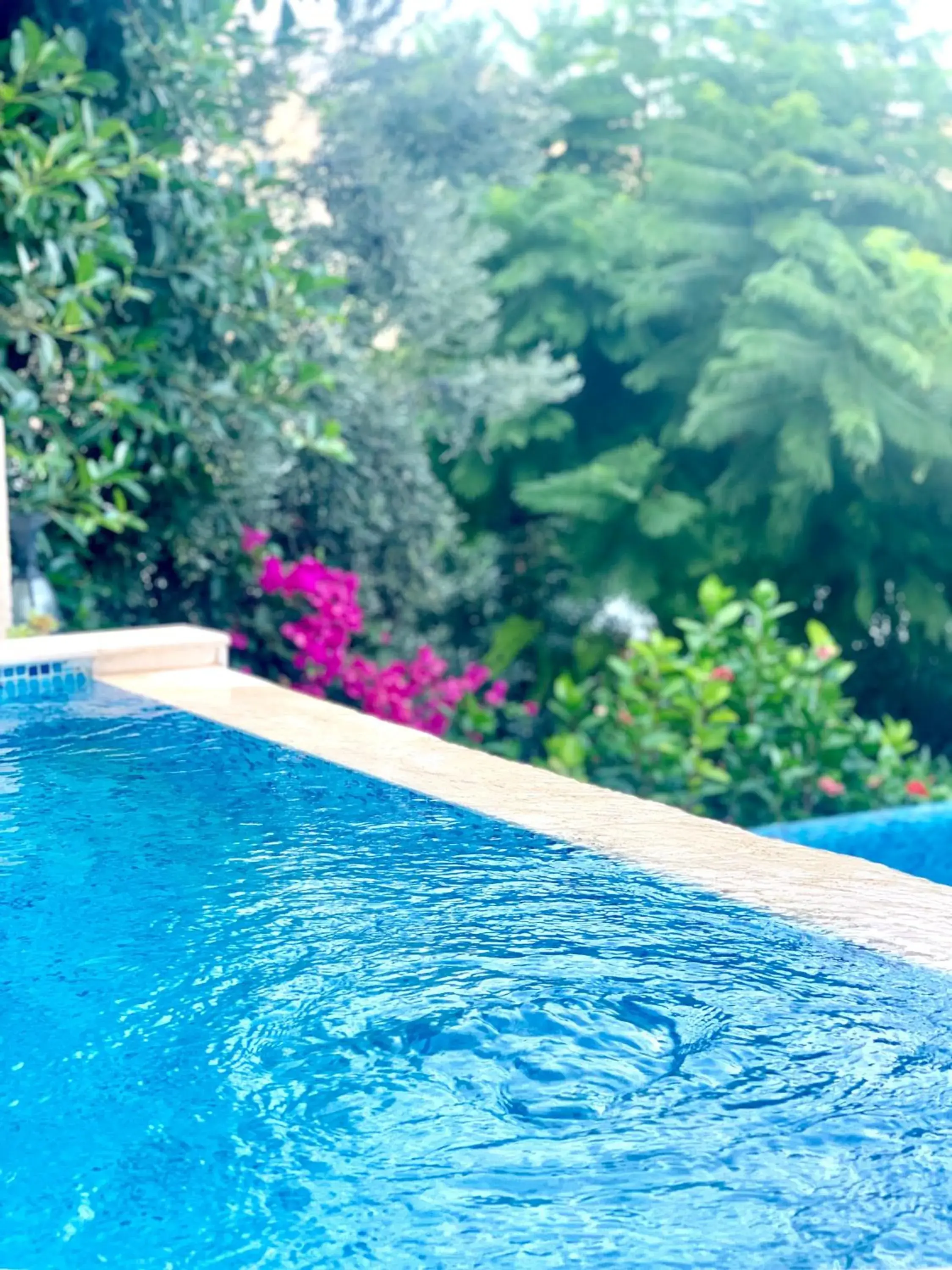 Swimming pool in Club Hotel Barbarossa Swimming pool in Club Hotel Barbarossa