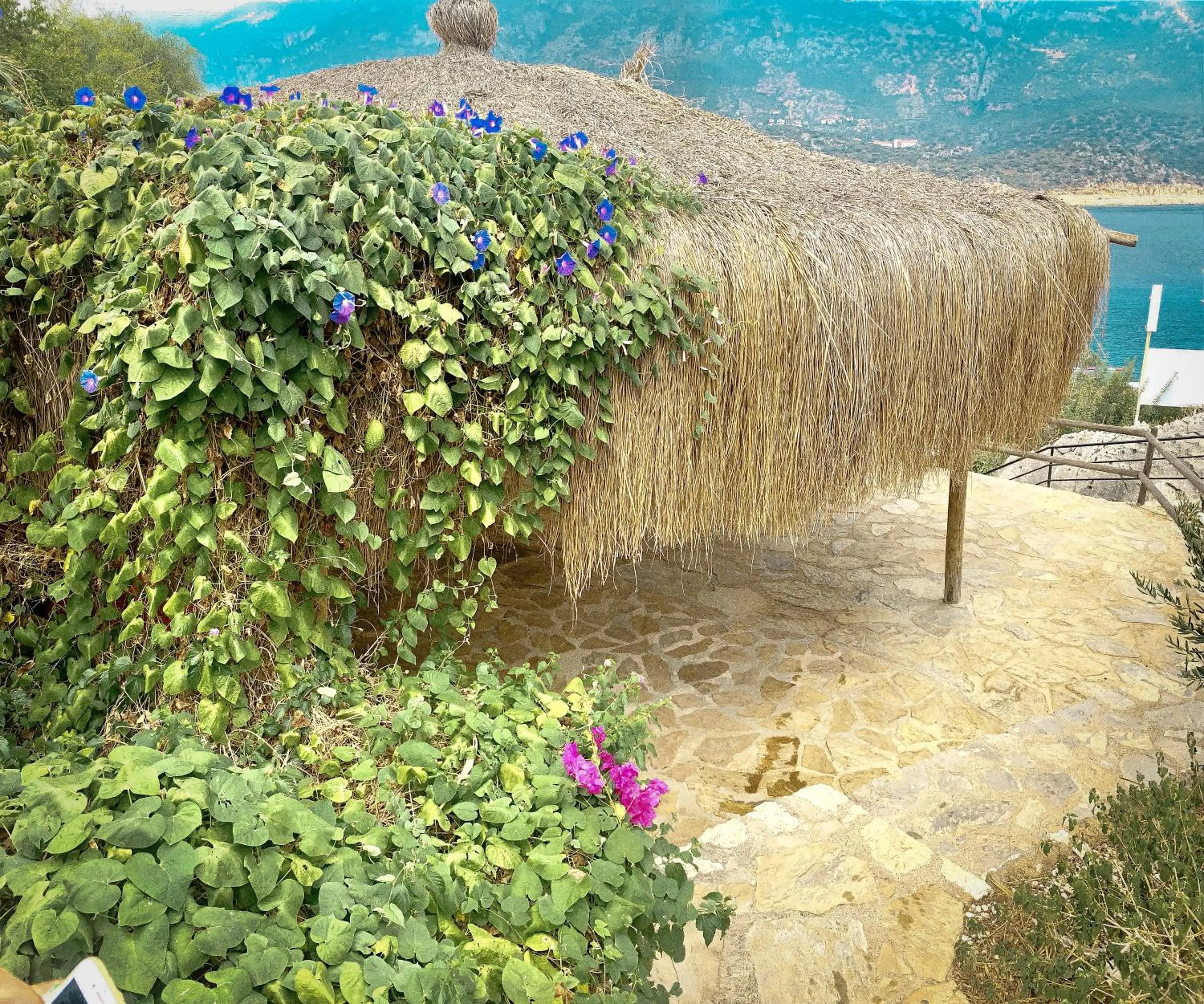 Area and facilities in Club Hotel Barbarossa