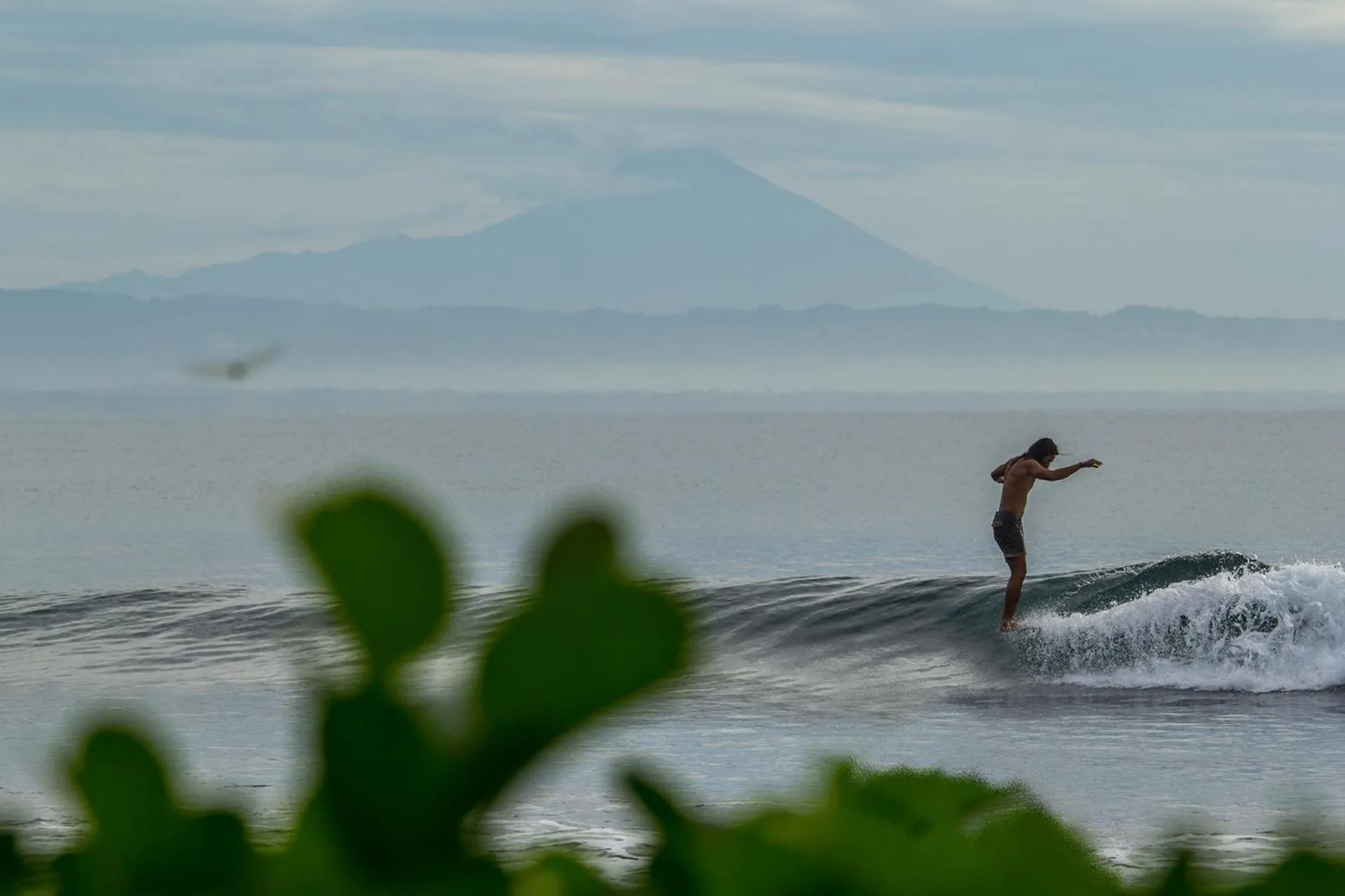 Natural landscape in Bale Karang Cottages