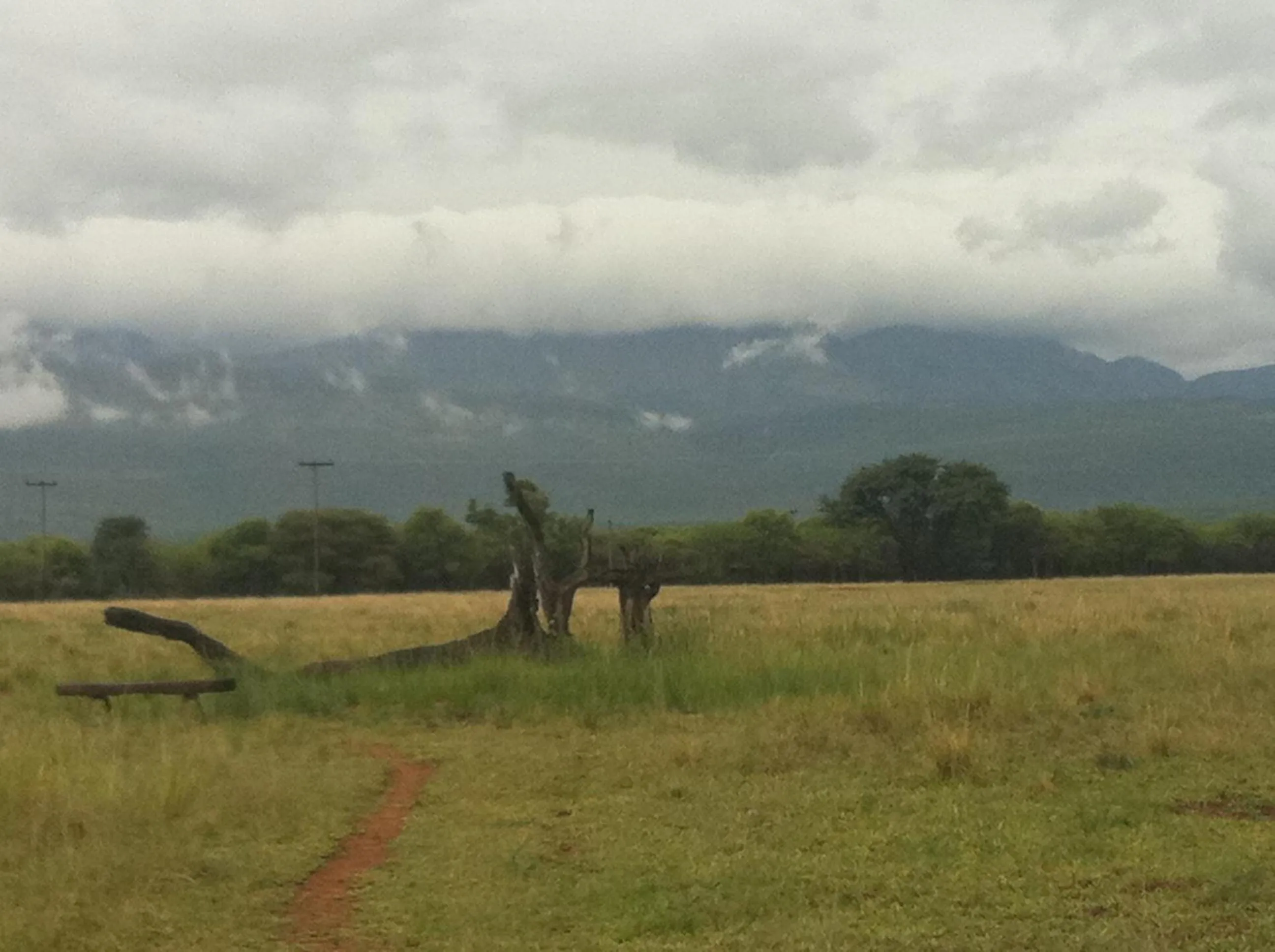Boschfontein Guest Farm
