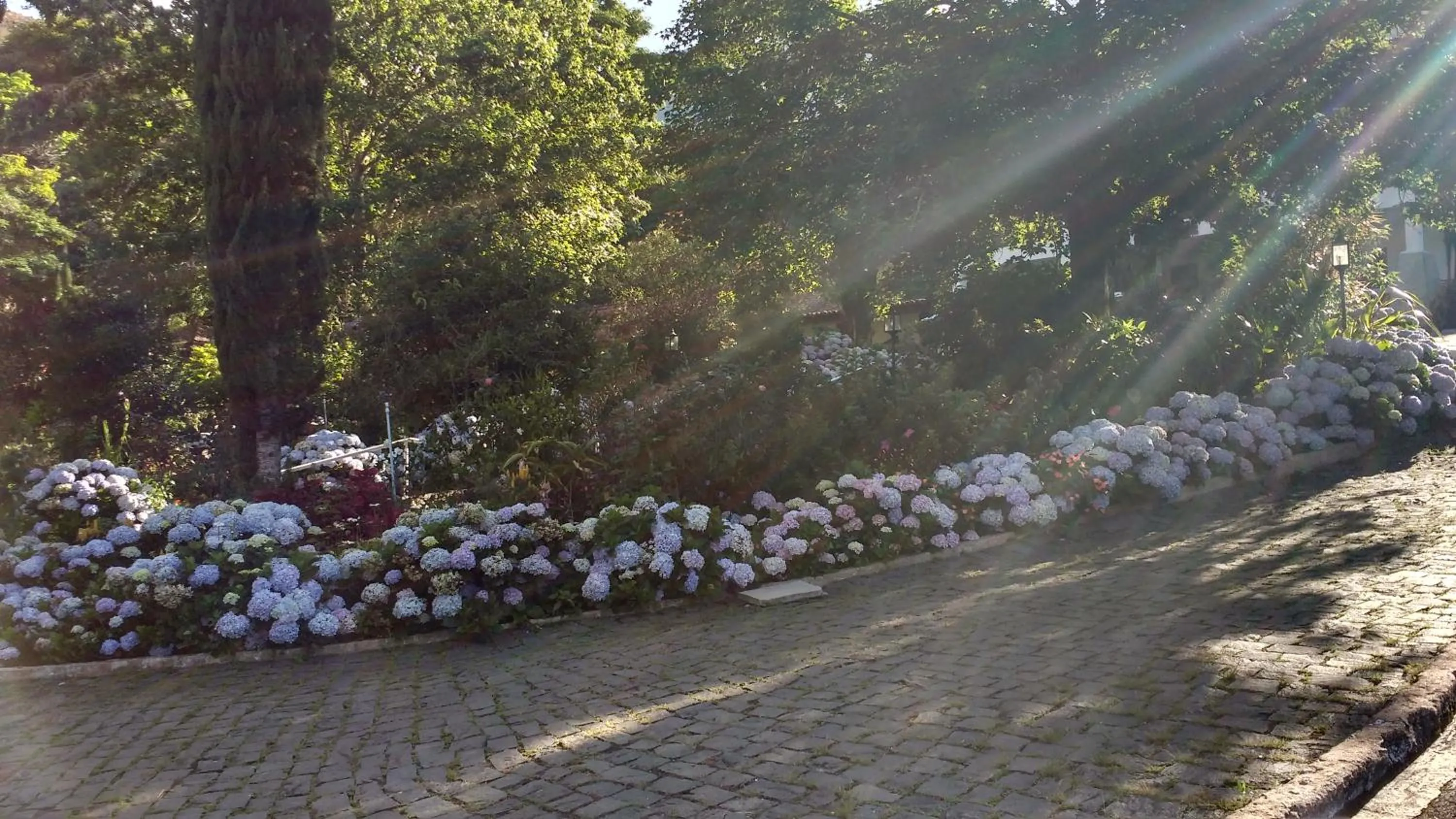 Garden in Caparaó Parque Hotel