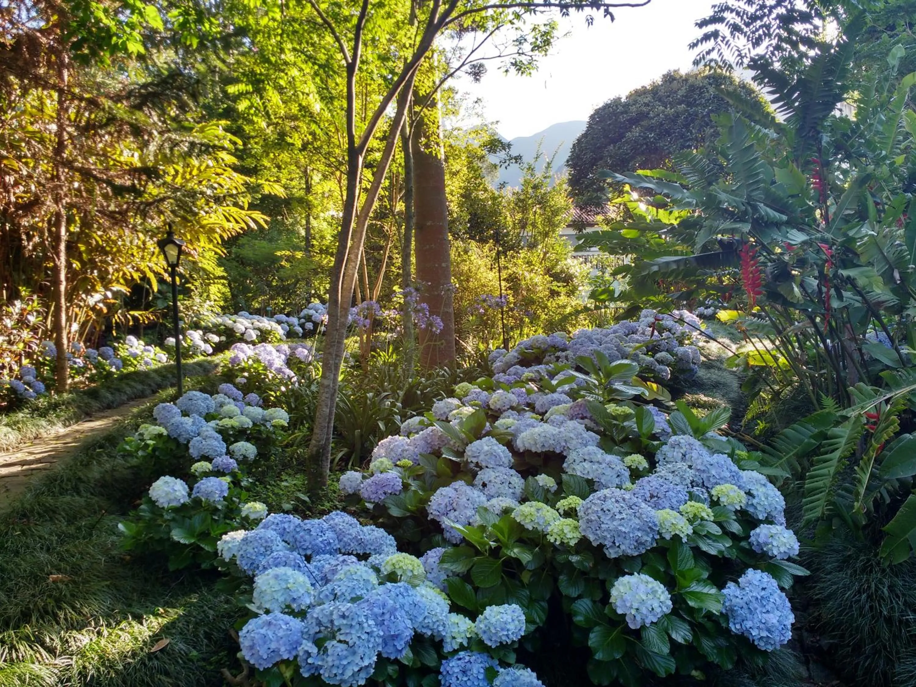 Garden view in Caparaó Parque Hotel