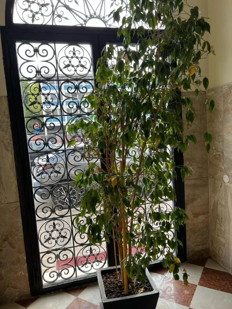 Property building in Cà Dei Barcaroli