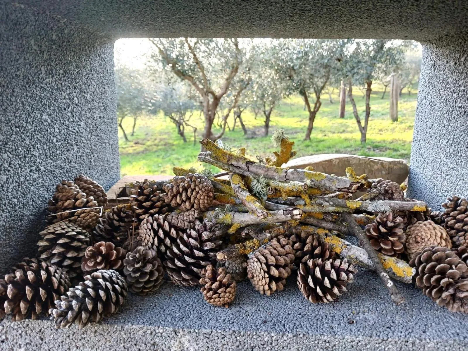 Garden view in San Martino - Casa Landi