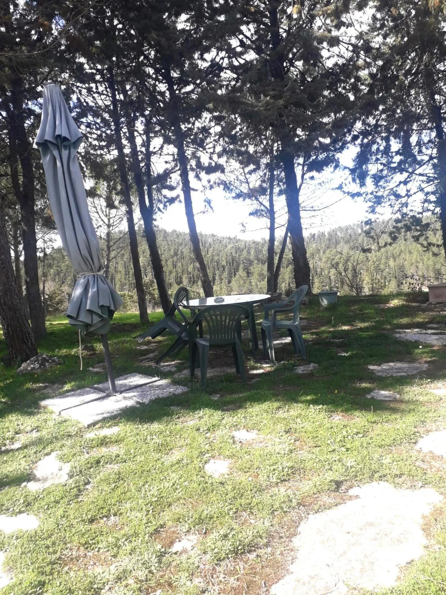 Garden view in San Martino - Casa Landi