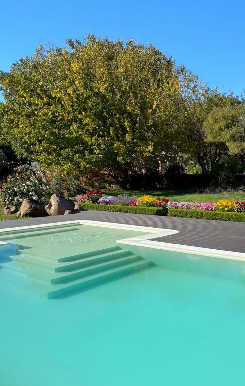 Swimming pool in Sa Mola