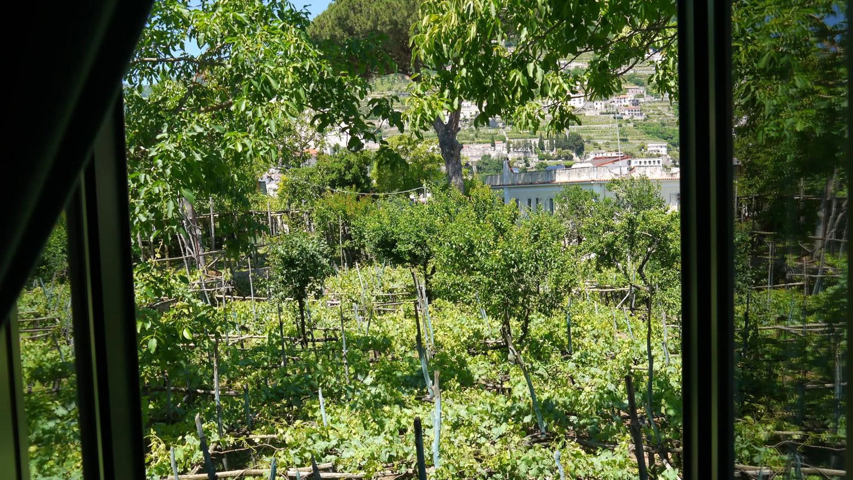 View (from property/room) in Hotel Rufolo