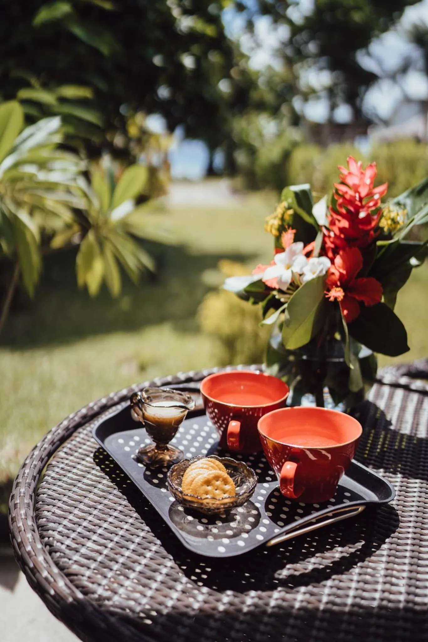 Garden view in South Pacific Memories