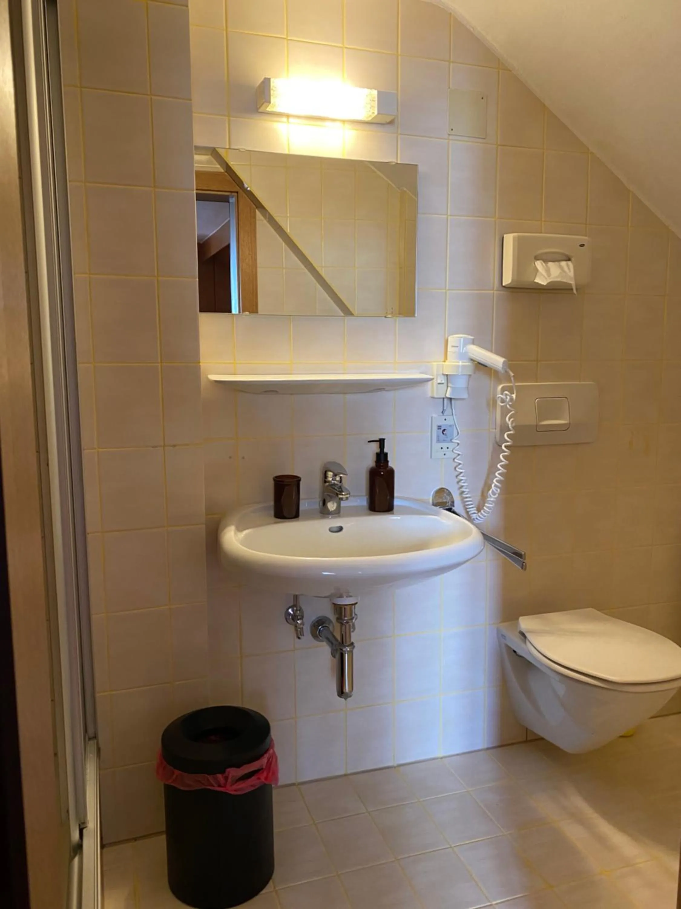 Toilet in Honolulu Hotel