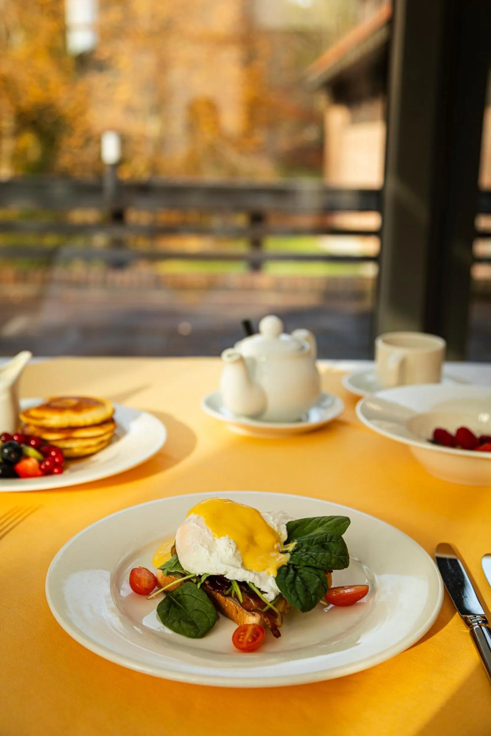 Hotel SPA Dr Irena Eris Wzgórza Dylewskie