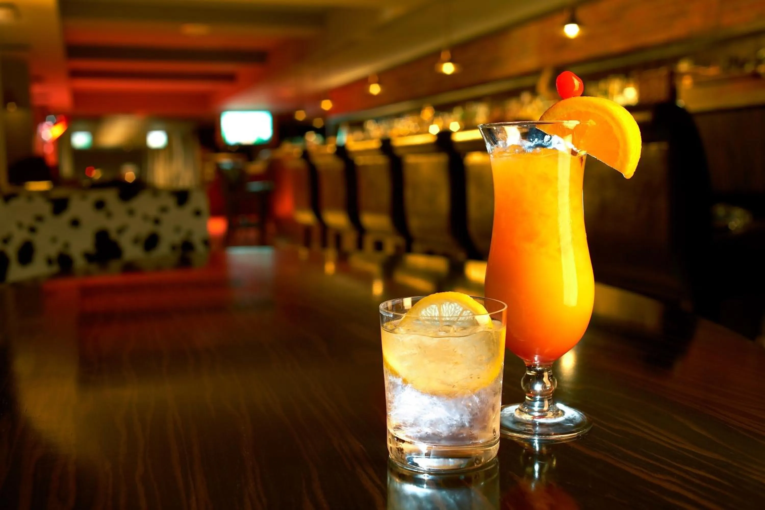 Lounge or bar in Hotel SPA Dr Irena Eris Wzgórza Dylewskie