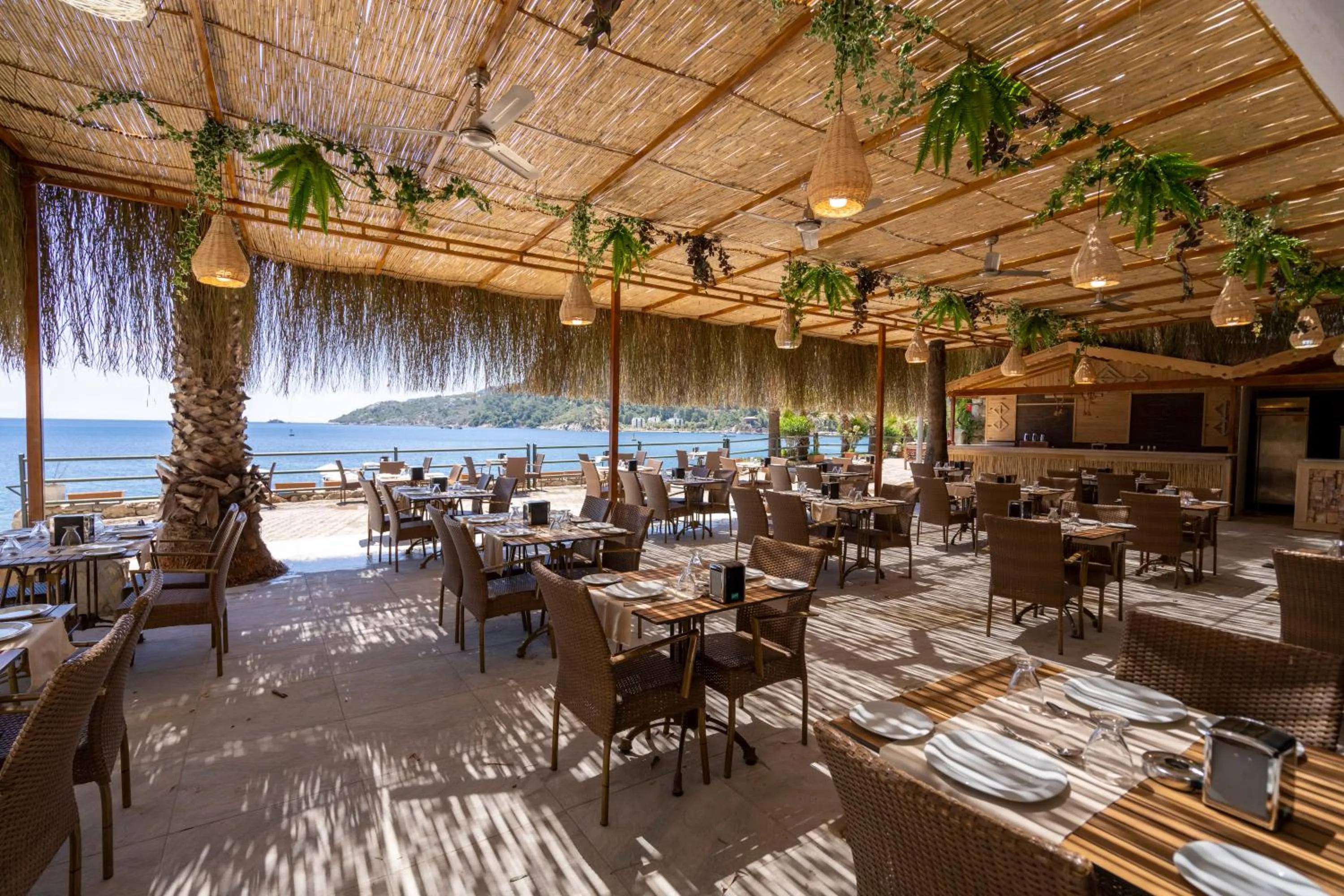 Restaurant/places to eat in Hotel Mavi Deniz