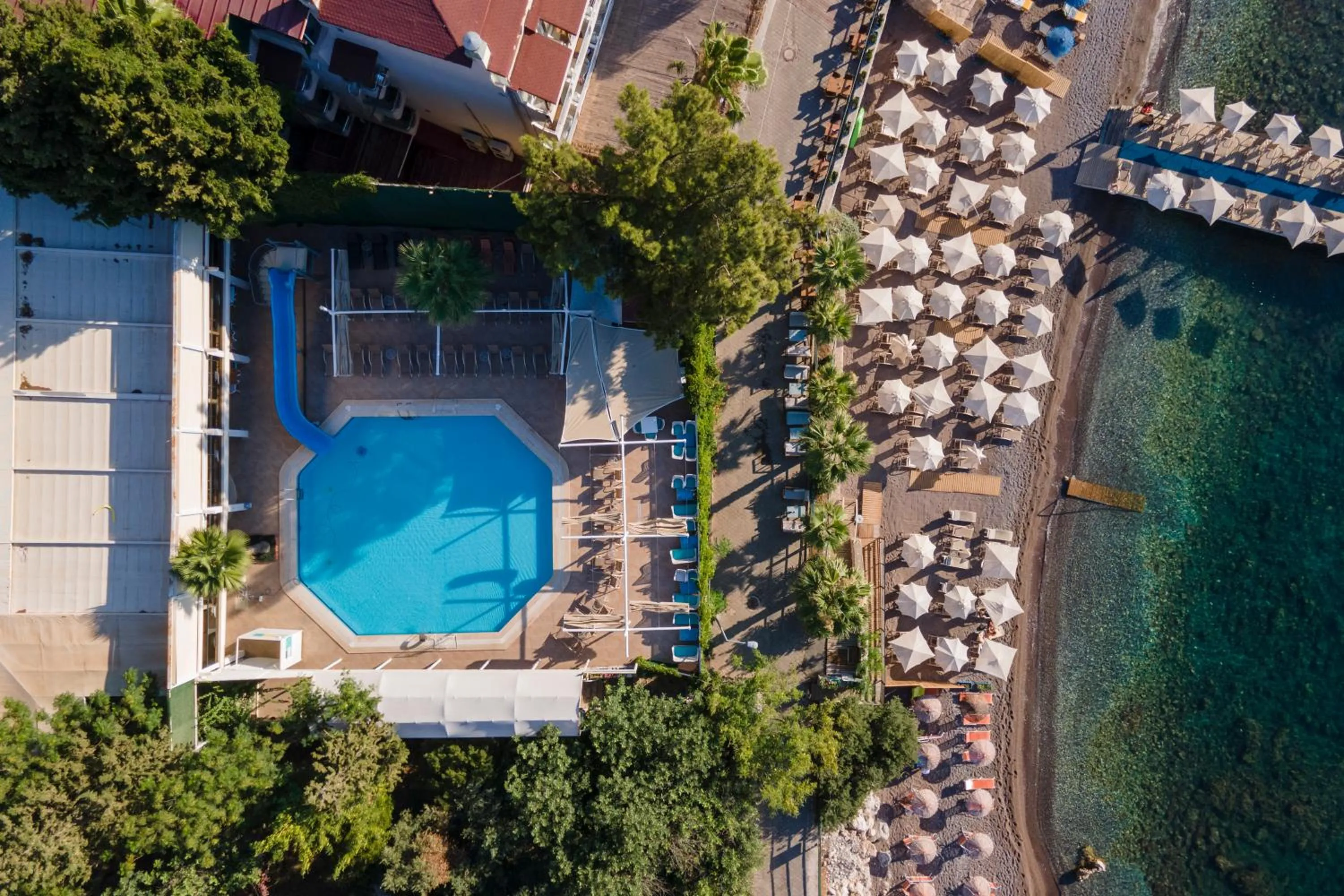 Swimming pool in Hotel Mavi Deniz
