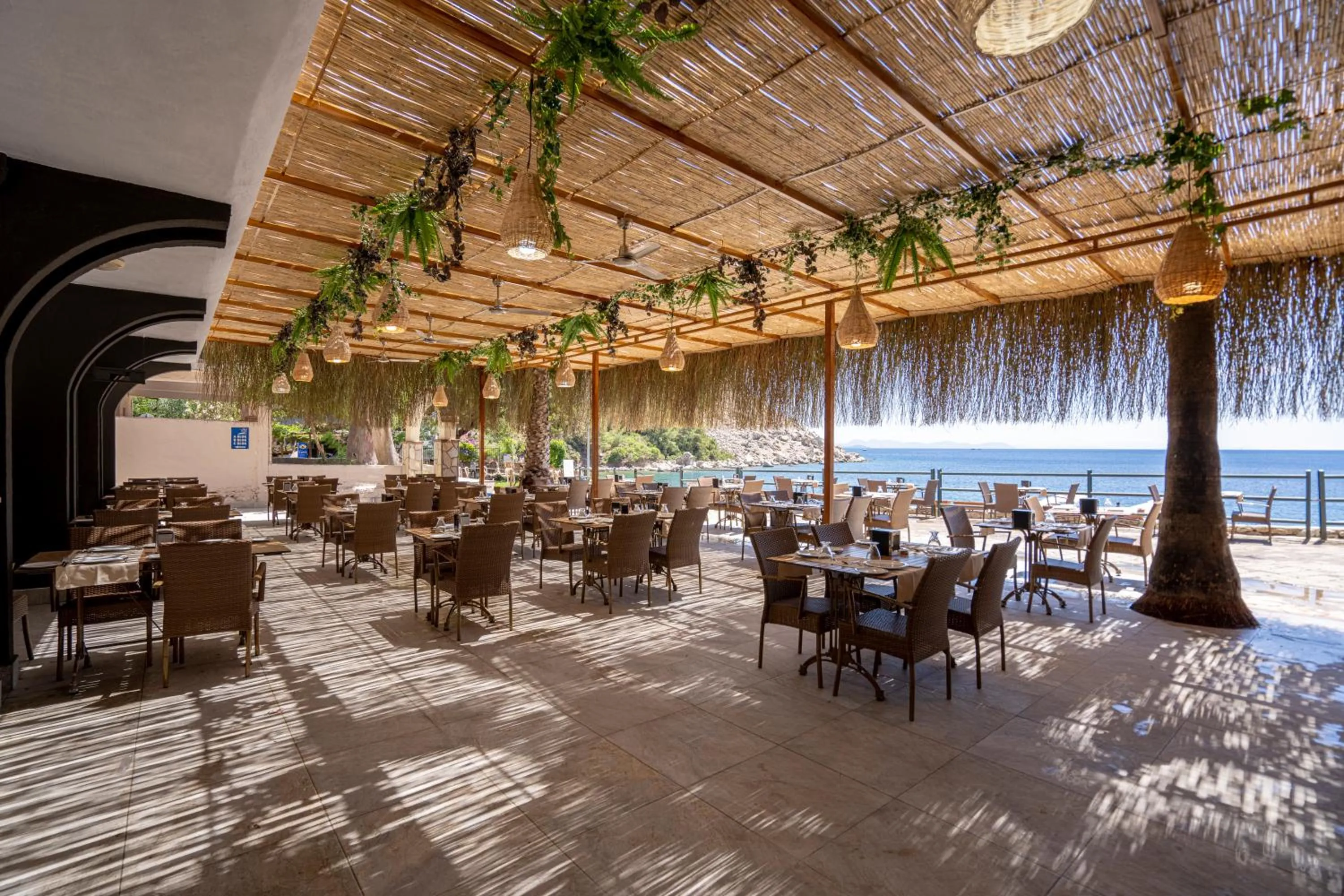 Restaurant/places to eat in Hotel Mavi Deniz