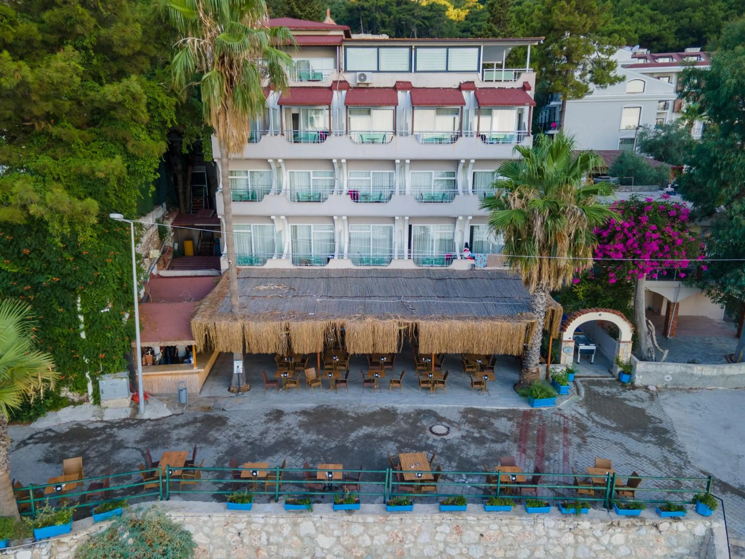 Restaurant/places to eat in Hotel Mavi Deniz