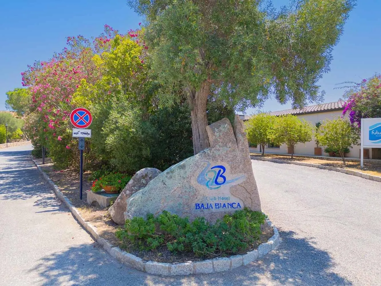 Spring in Hotel Baja Bianca