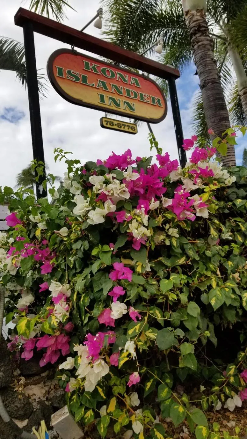 Property building in DOWNTOWN Hawaiian Theme Condo with Hot Tub, Pool & Beach - Kona Islander Inn