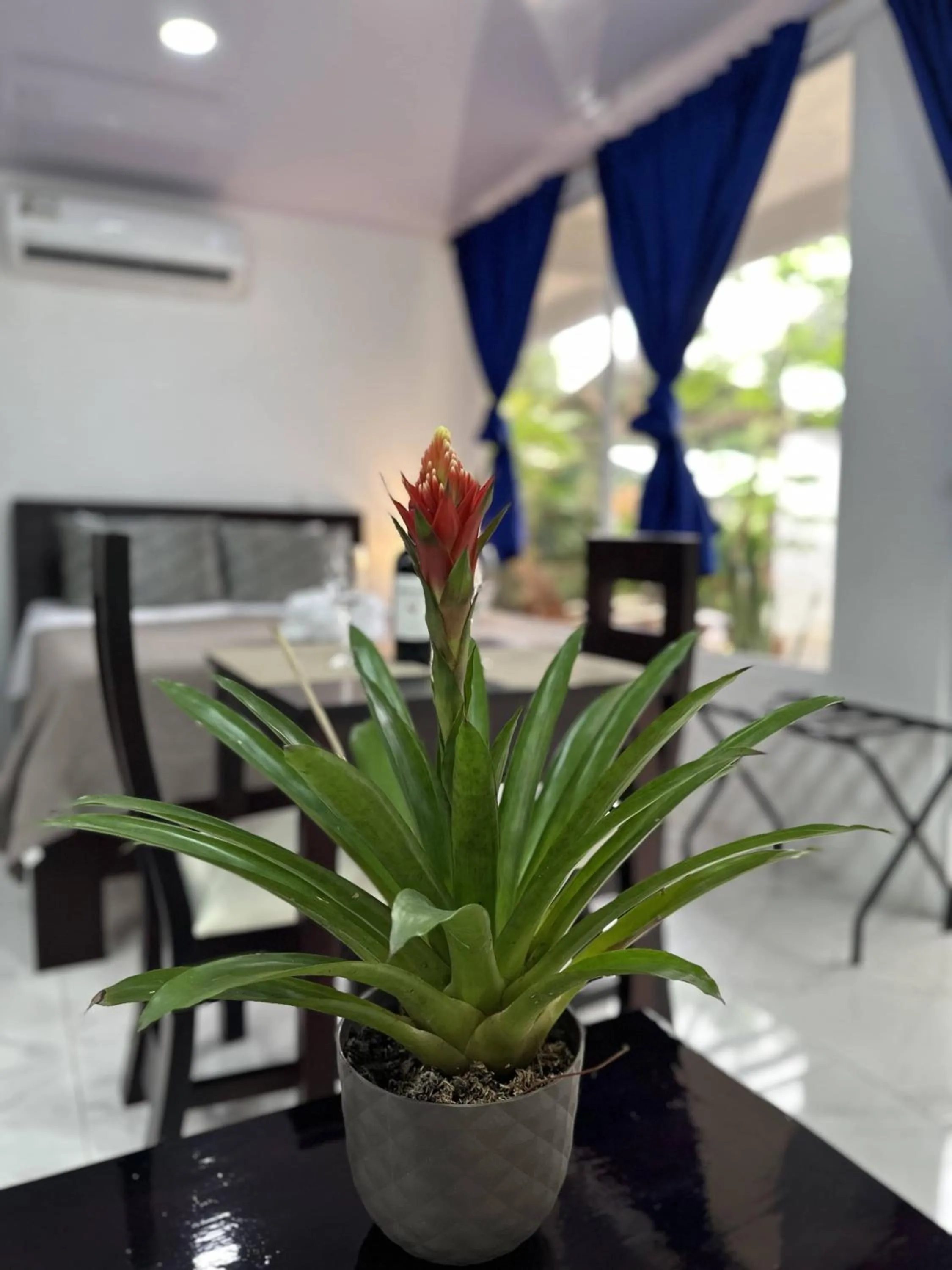 Living room in Hotel Serendipity