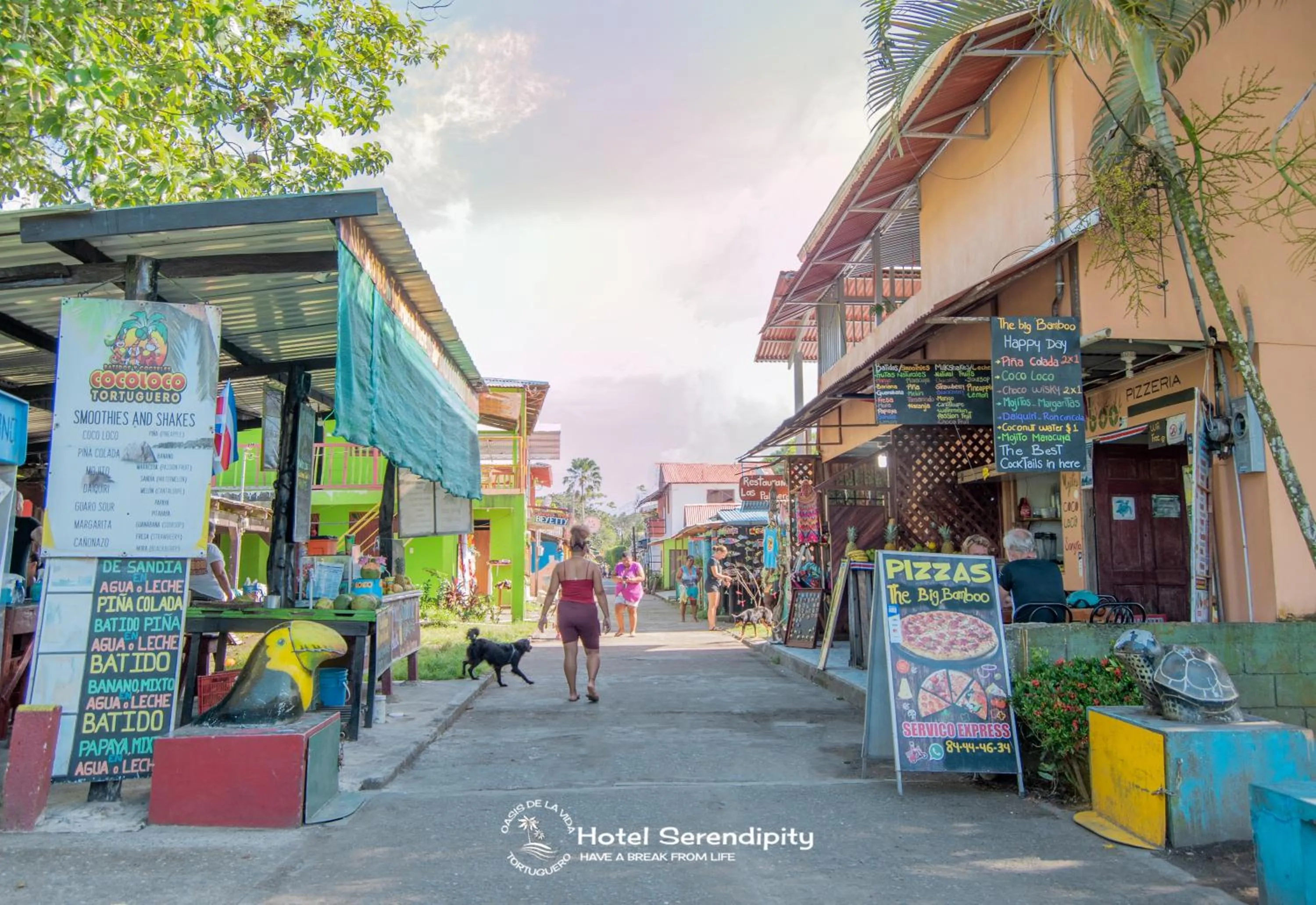 Day in Hotel Serendipity