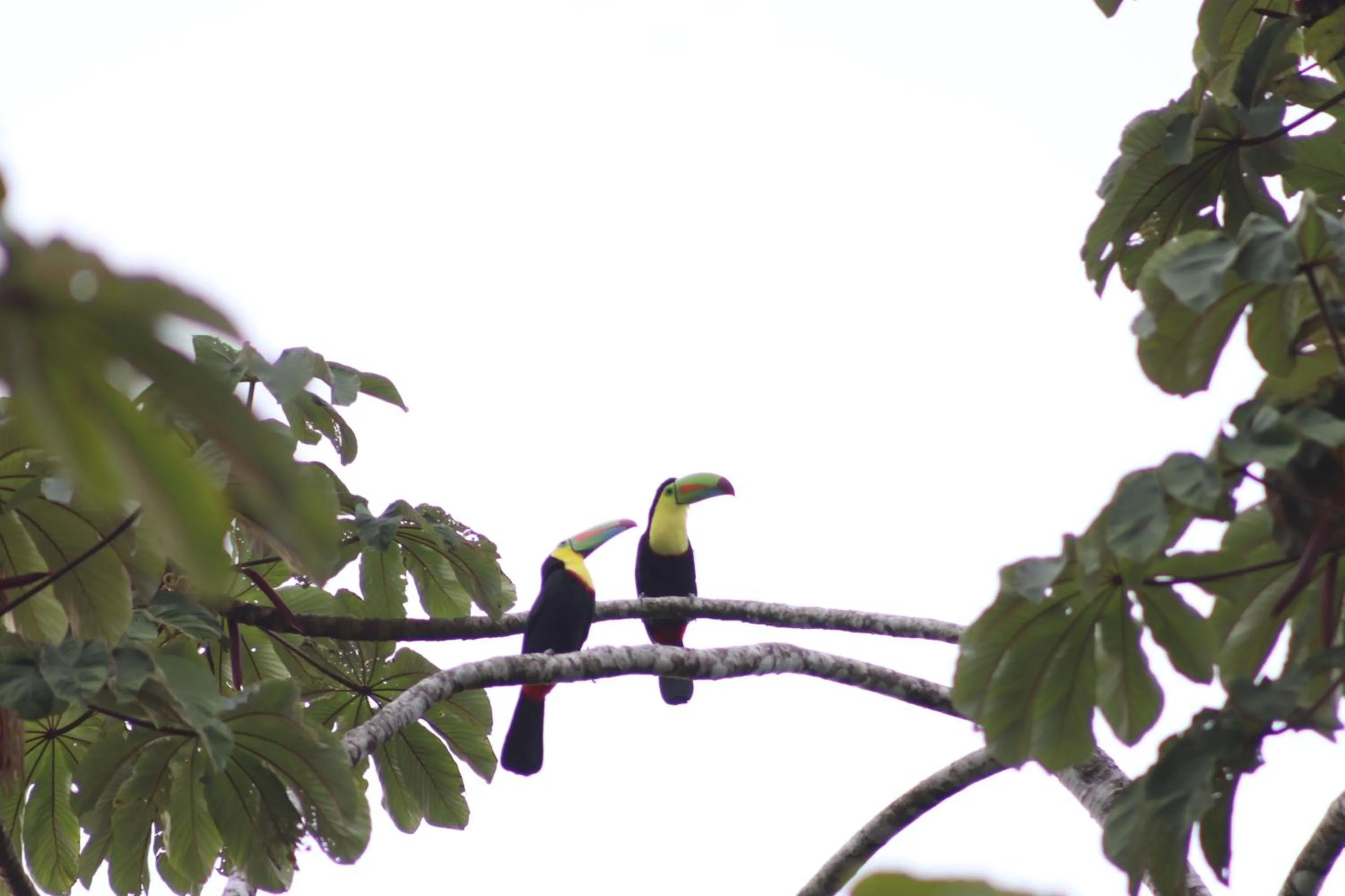 Day in Hotel Serendipity