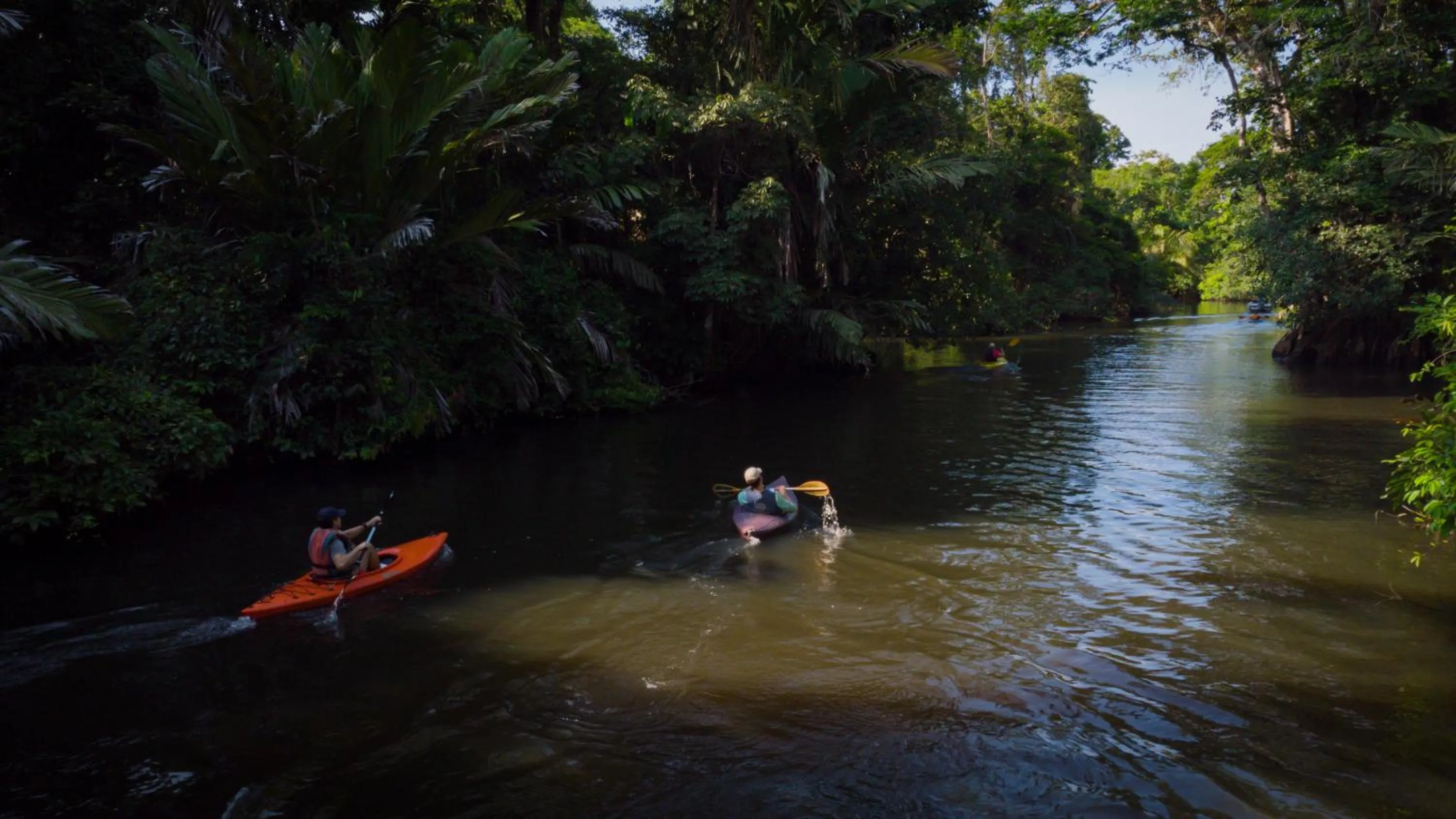 Day in Hotel Serendipity