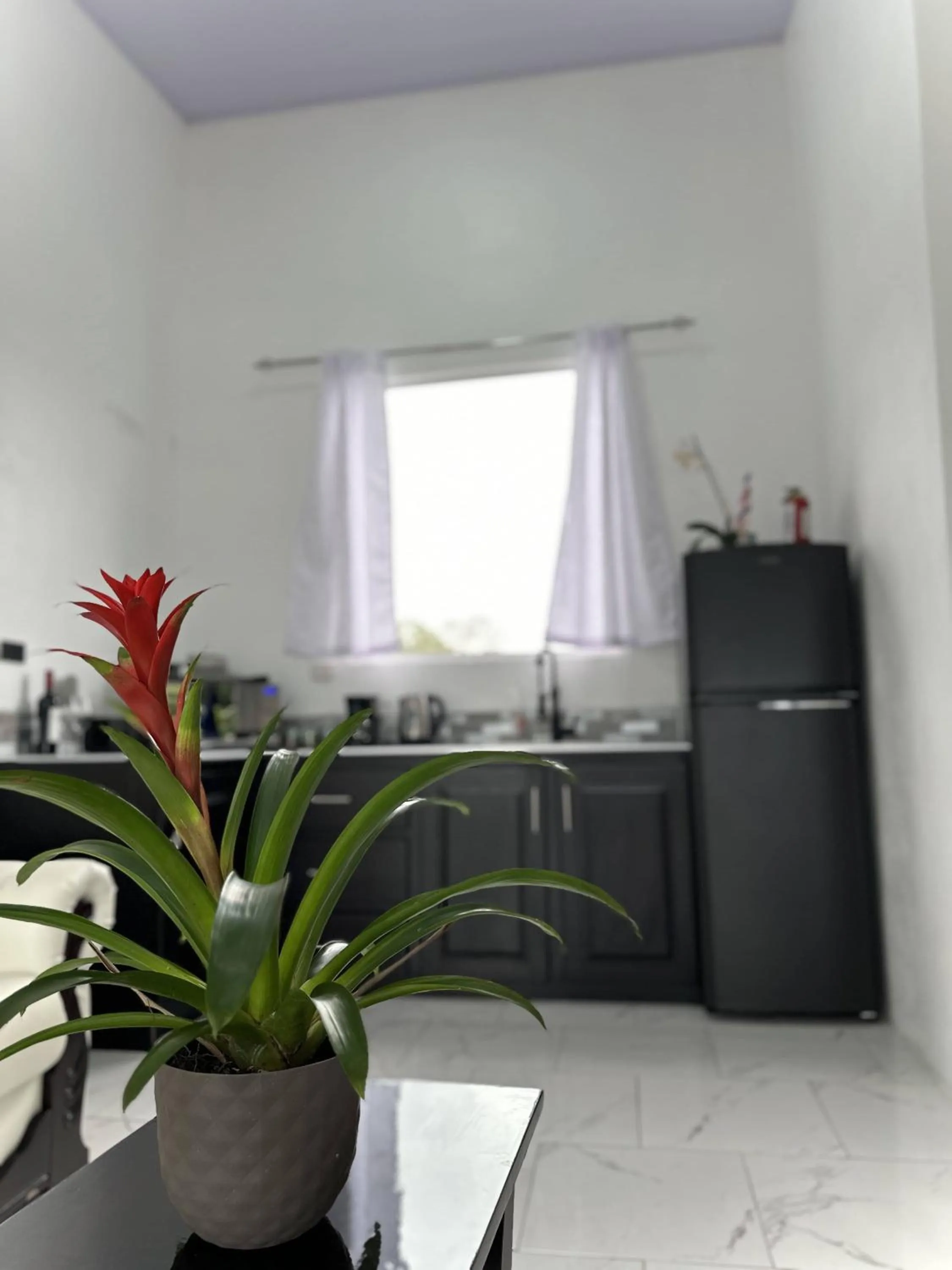 Kitchen or kitchenette in Hotel Serendipity